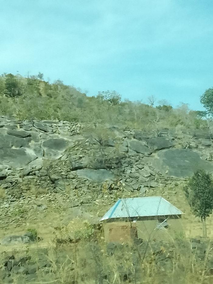 The image depicts a rural landscape in Jibam, Nigeria, under a light blue sky. A single, small, adobe-style dwelling with a light-colored, corrugated metal gabled roof is situated in the lower-middle right of the frame. The structure's walls appear to be made of earth or mud bricks. To its immediate right stands a small, green-leafed tree. The environment is characterized by dry, sparse vegetation, including grasses and leafless shrubs, indicative of an arid or dry season. A rocky hillside, featuring large, dark grey rock formations and scattered smaller stones, dominates the background. No individuals, animals, or observable actions are present in the scene.