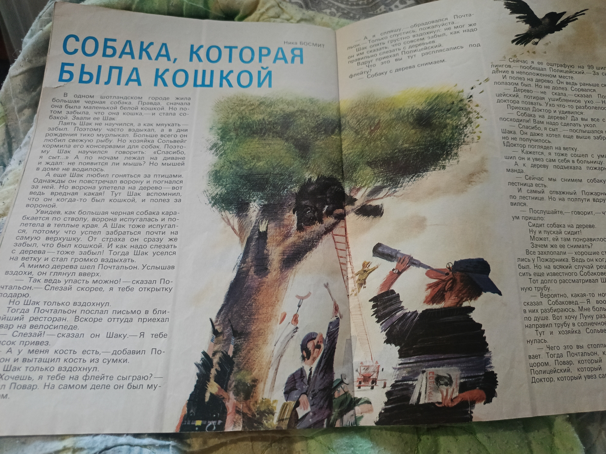 Memory