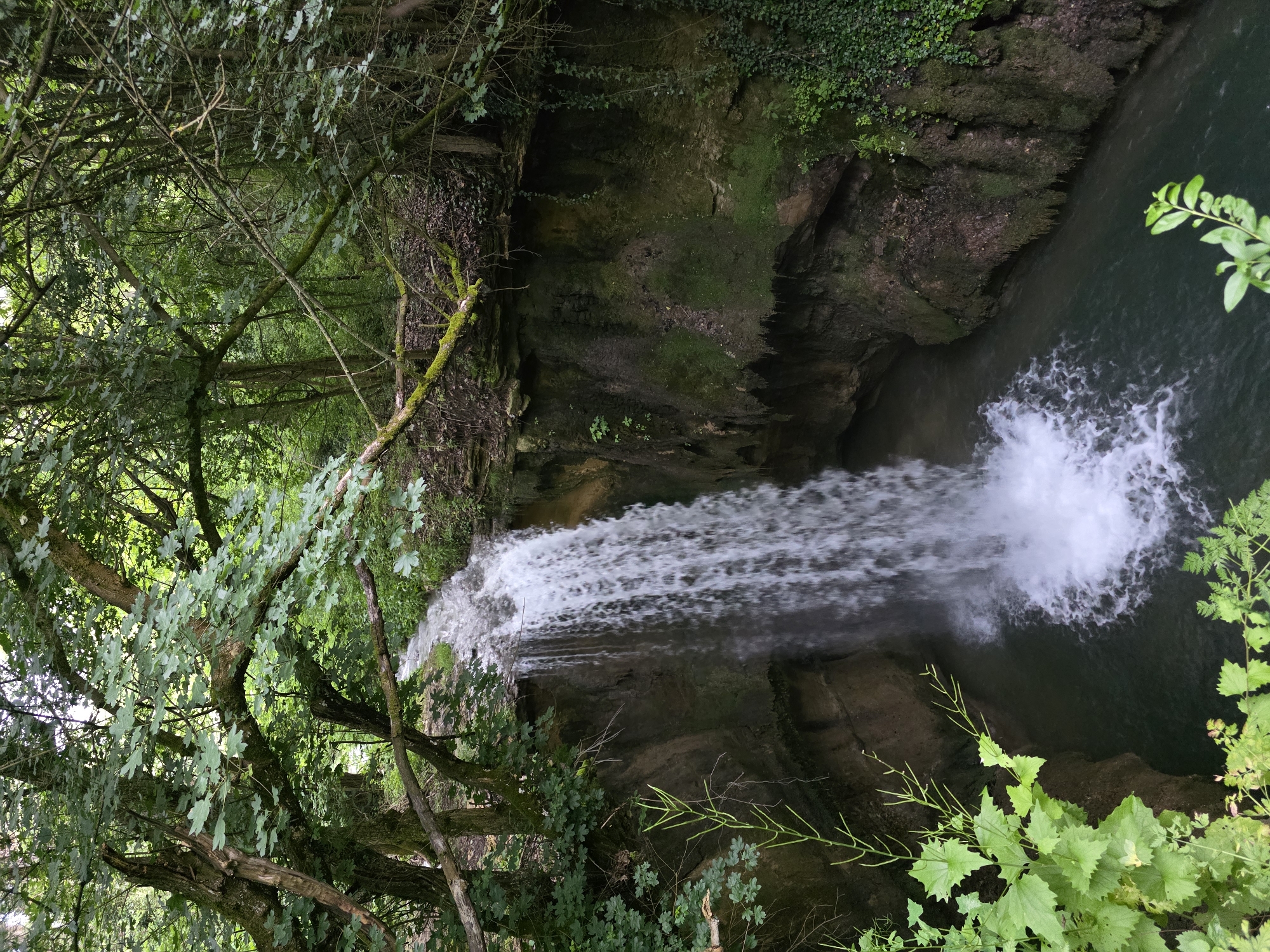 The image depicts a majestic natural waterfall nestled within a lush, verdant forest gorge. Densely packed tree branches and vibrant green foliage frame the scene from both the foreground and edges, suggesting a view from an elevated or forested vantage point. Some branches are covered with moss, indicating a damp environment.
At the center, a wide, frothy waterfall cascades downwards, appearing white and turbulent as it plunges into a dark, deep pool below. The surrounding environment consists of steep, rugged rock faces that form a narrow gorge. These rock walls are dark brown and grey, heavily adorned with extensive patches of bright green moss and climbing ivy, particularly noticeable on the upper ledges. The water in the pool at the base of the waterfall is a dark, deep green.
The lighting is diffused, suggesting an overcast day or a deeply shaded area within the forest, which accentuates the rich greens of the plant life and the darker tones of the rock and water. There are no people, animals, or visible text present. The scene captures a pristine natural landscape, consistent with a wilderness area like the region of Bela, Bulgaria.
