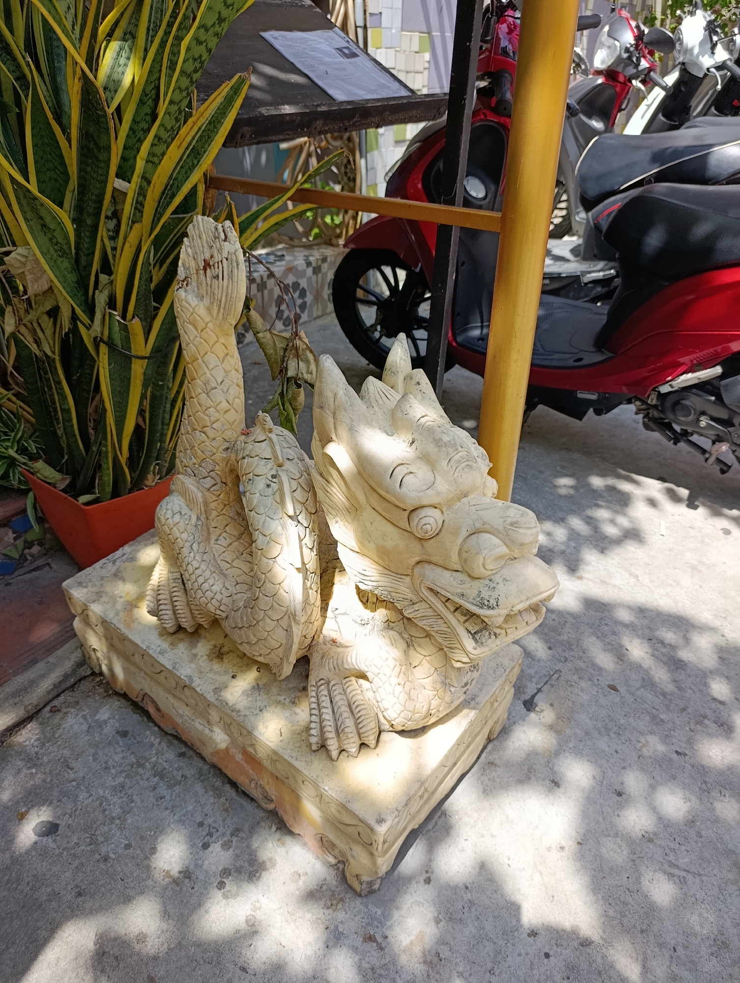 In the city of Nha Trang, Ward, Vietnam, a stone dragon statue rests on a concrete platform. The dragon sculpture, weathered and aged, is positioned to the left of the frame. Behind the statue, a vibrant snake plant in a red pot thrives under the dappled sunlight. The background reveals a row of scooters, including a bright red one, parked adjacent to a wooden structure. The ground is paved with concrete, marked by the shadows of overhead foliage, creating a mosaic of light and dark. The scene is composed of natural elements and man-made objects, creating a serene yet urban ambiance.