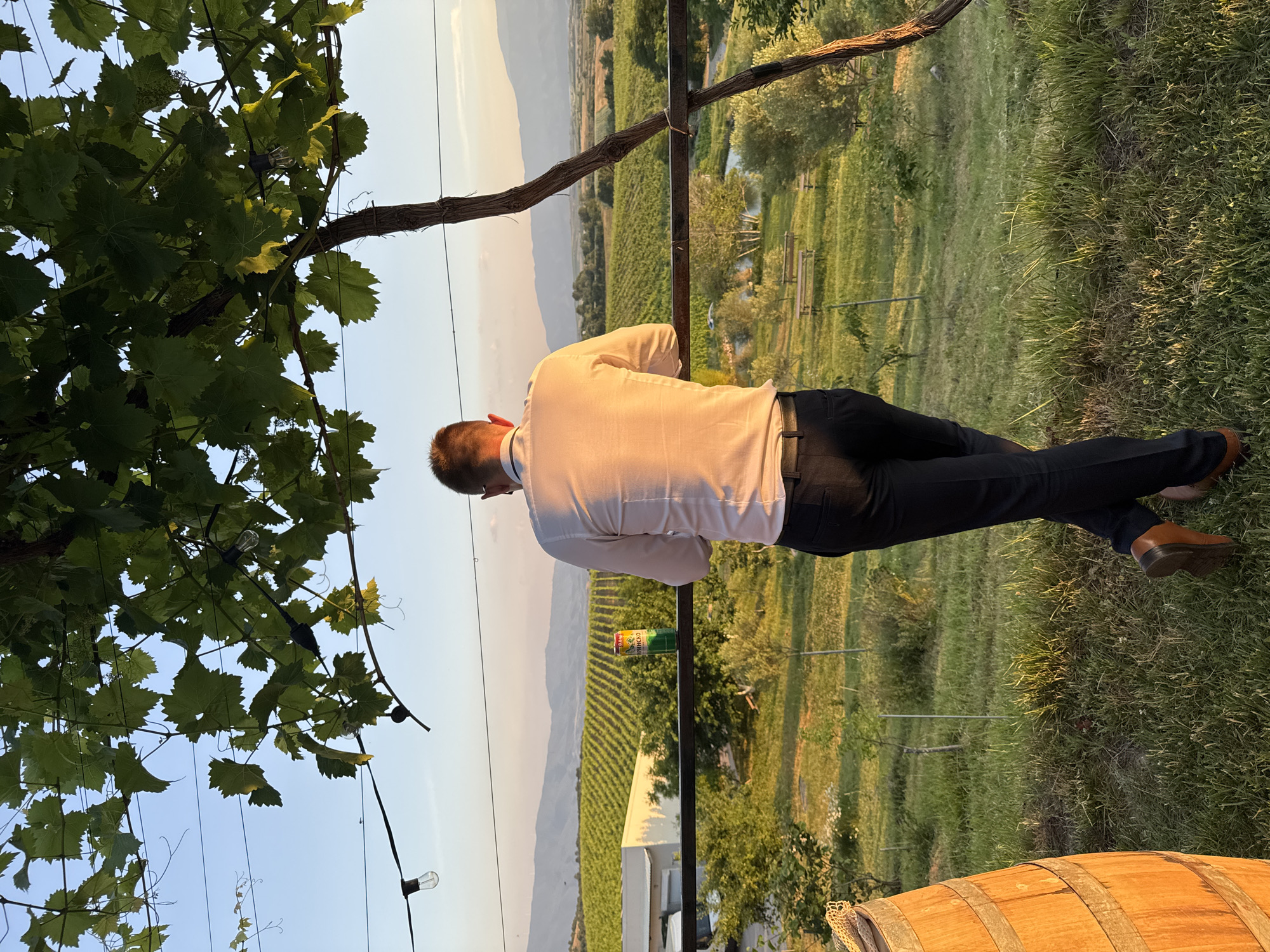 This image depicts an outdoor scene in Harsovo, Bulgaria, at what appears to be golden hour, with warm, low-angle sunlight illuminating the right side of the frame.
In the foreground, a male individual is positioned with his back to the viewer, leaning forward with his arms resting on a dark metal railing. He wears a white, long-sleeved collared shirt, dark trousers, and brown leather shoes, with his left leg crossed over his right at the ankle. His hair is short and dark. To his immediate left, a portion of a wooden barrel with metal bands is visible. Above, a dense canopy of green grapevines with numerous leaves and tendrils creates an overhead cover, intertwined with black string lights holding clear, bare lightbulbs. A thick, gnarled vine stalk descends along the right edge of the frame.
On the metal railing, slightly to the left of the man, a green, yellow, and orange cylindrical metal can, marked "0.5 L" and featuring Cyrillic text "ПИРИНСКО" (Pirinsko), rests upright.
The midground reveals a vast, meticulously organized vineyard with rows of green grapevines stretching across the landscape towards the distant mountains. Beyond the vineyard on the left, a light-colored building with a darker roof is partially visible amidst trees. Further into the midground, towards the right, a small body of water (likely a pond) is visible with several wooden benches arranged around it in a grassy area, interspersed with trees.
In the far background, an undulating range of hazy, blue-hued mountains extends across the horizon, with several wind turbines faintly discernible on one peak to the left. The sky above is a clear, light blue, transitioning to a warmer, pale orange-pink hue near the horizon. The ground in the foreground and around the vineyard is covered in green grass, brightly lit by the setting sun.
