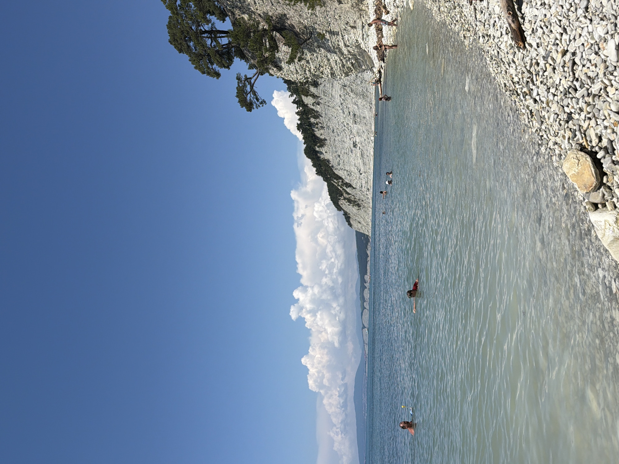 A bright, sunny day at a pebble beach in Divnomorskoe, Russia. The clear, turquoise water of the Black Sea laps gently against the shore, which is covered in smooth, grey pebbles. In the distance, majestic white cliffs rise dramatically from the sea, their surfaces textured and layered, topped with a dense scattering of dark green pine trees. The sky is a brilliant, cloudless blue, with a few fluffy white clouds drifting lazily in the far distance.
Several people are enjoying the water and beach. In the foreground, a few individuals are swimming and wading in the shallows. Further out, more people are visible enjoying the sea. On the beach, a group of people are standing near the water's edge, some in bathing suits. A large, weathered piece of driftwood lies on the pebbles near the water. The overall impression is one of a serene and idyllic summer day at the seaside.