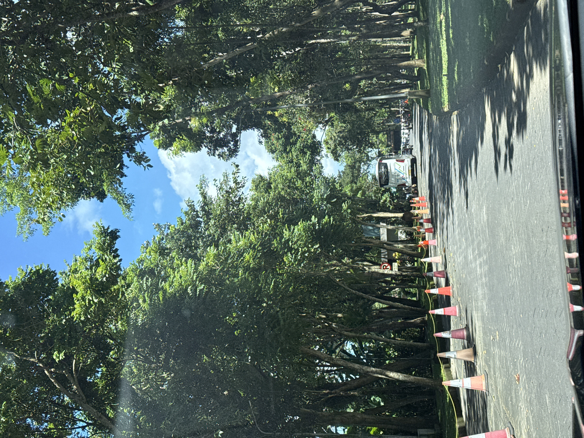 The image, taken from inside a vehicle, depicts a road in the Ubud District, Indonesia. The road is lined with trees forming a canopy overhead, partially revealing a blue sky with some clouds. A row of orange and white traffic cones runs along the side of the road. A white utility vehicle is visible in the distance on the road. The road surface is asphalt, showing wear and tear. The view is looking toward a traffic area. The glass of the vehicle is visible on the right of the image.