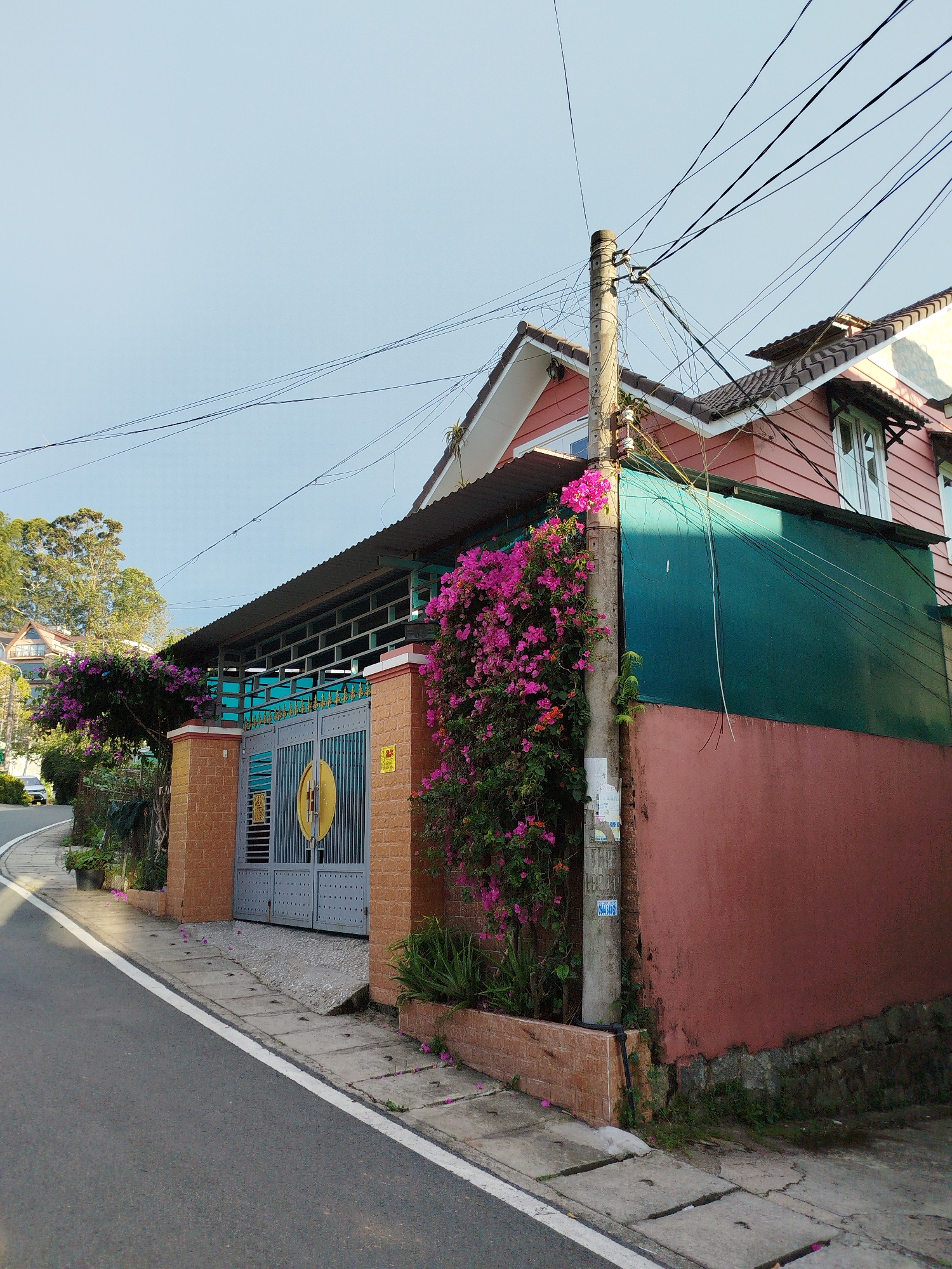 The image captures a residential street in Da Lat, Vietnam, featuring a pink and terracotta house with a gray metal gate adorned with a yellow circular emblem. Bougainvillea flowers in vibrant pink cascade over the gate and climb the side of the house, adding a splash of color to the scene. A concrete utility pole, heavily laden with a tangled web of electrical wires, stands prominently in front of the house. The street is paved with asphalt and bordered by a concrete sidewalk with drain covers. In the background, a car is visible on the winding road, and other buildings and trees suggest a hilly urban landscape typical of Da Lat. The sky is clear and pale blue, indicating daytime.