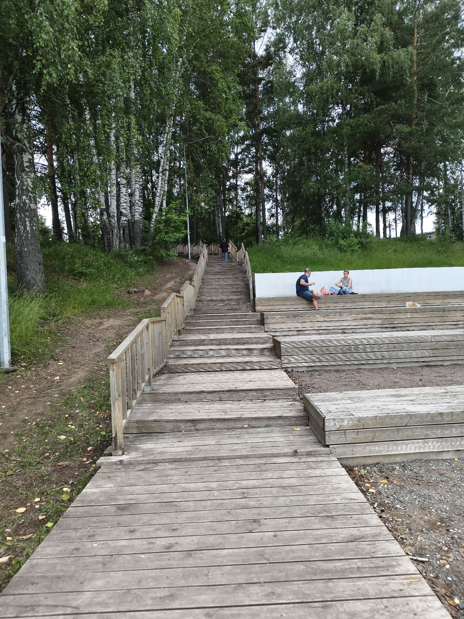 This media file shows an outdoor scene in Chaikovsky, Russia, featuring a large wooden staircase leading up a grassy incline towards a line of trees. The time of day appears to be afternoon, with overcast or diffused lighting, suggesting it could be a cloudy day or late afternoon.
At the top of the wooden seating area, two people are seated. A man in a dark blue t-shirt and shorts is looking down at his phone, while a woman in a grey tank top and jeans sits next to him, also appearing to be looking at something in her lap, possibly a phone or a book. There is a light-colored dog or fox lying on the wooden steps nearby. Further up the wooden staircase, a lone person can be seen walking upwards.
The foreground of the image is dominated by the wooden pathway and the initial steps of the staircase, which are weathered and appear to be made of planks. The staircase is bordered by a simple wooden handrail. The background consists of a dense forest with a mix of birch and pine trees. The overall atmosphere is peaceful and leisurely, suggesting a recreational area or park. No visible text is present in the image.