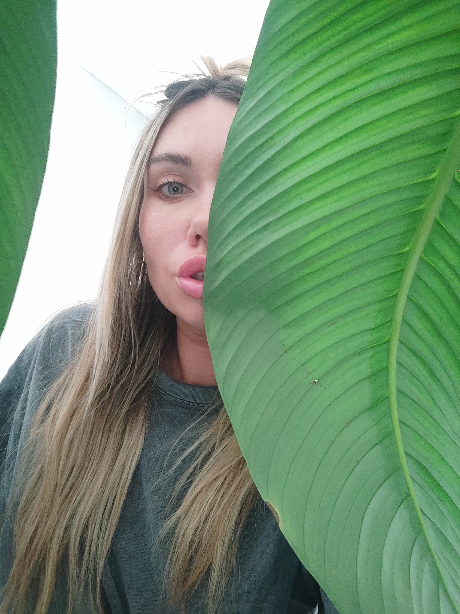 The image depicts a close-up, angled portrait of a woman partially obscured by large green leaves. The woman, with long blonde hair and light-colored eyes, gazes directly at the viewer. Her face is positioned to the left of a prominent, vertically oriented green leaf that covers the right side of her face from below her nose upwards. Her left eye is fully visible, while her mouth is slightly agape, revealing a pink lower lip. She wears a dark grey, possibly crew-neck, long-sleeved garment. A portion of another green leaf is visible along the left edge of the frame. The background consists of a bright, uniformly white surface, suggesting an indoor setting or a studio environment. The precise location in Votkinsk, Russia, cannot be determined from the visual information provided within the image.