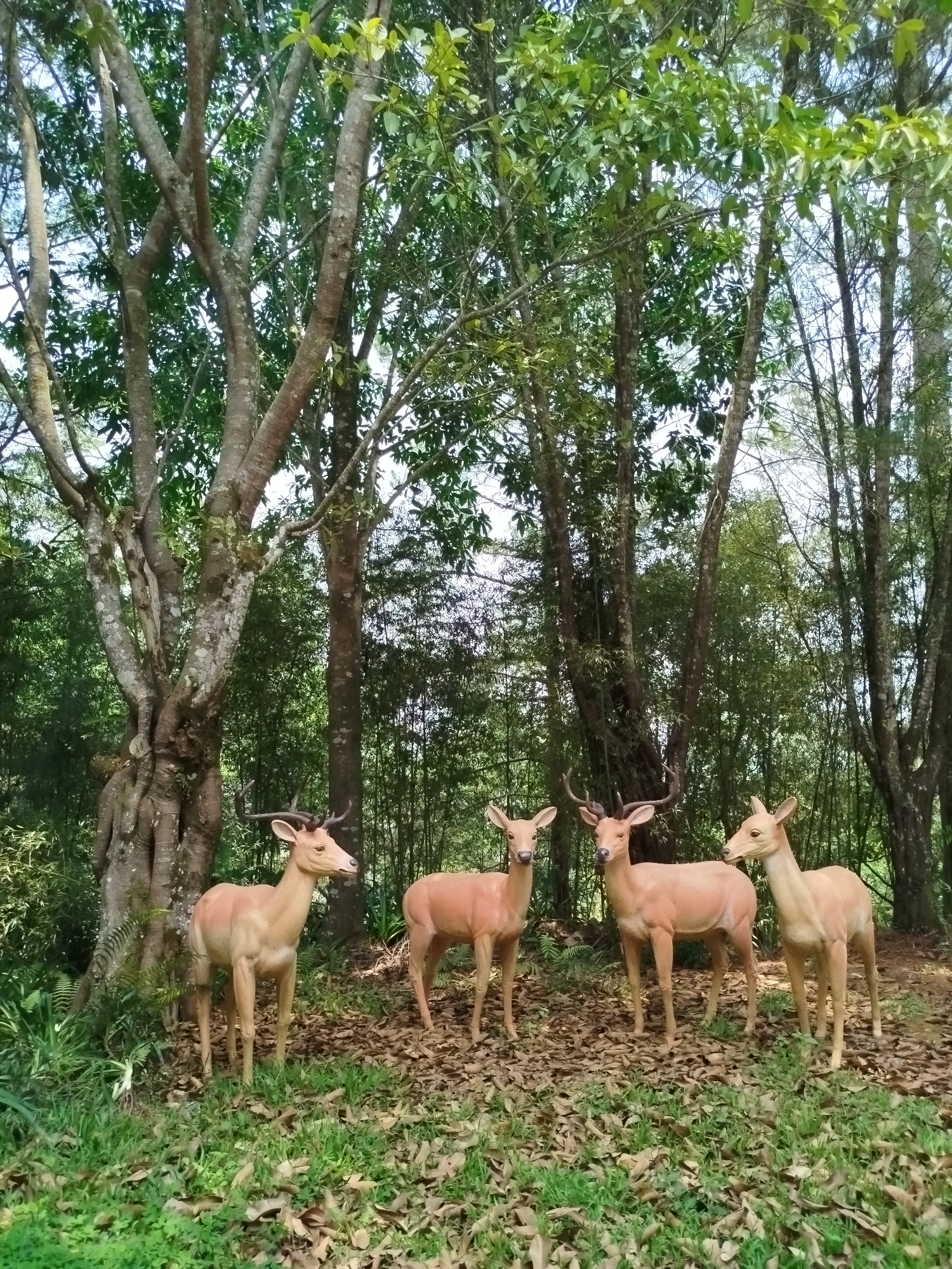 Four deer statues stand in a grassy, wooded area in Lang Biang, Đà Lạt, Vietnam. The statues are tan with dark antlers. They are standing on a bed of brown leaves and green grass. Behind the statues are several trees, some with large trunks. The sky is visible through the trees.