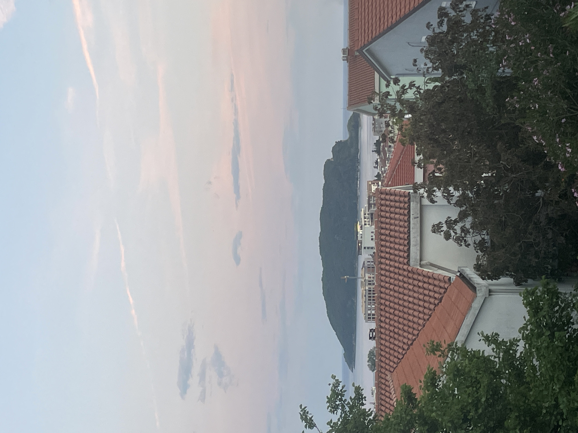 This image is a landscape oriented shot, taken from an elevated position in the city of Budva, Montenegro, facing the sea and the island of Sveti Nikola. The photo is taken in the evening during dusk, with pink hues in the clouds. A silhouette of the island of Sveti Nikola is visible. The roofs of buildings with red tiles are in the foreground, partially obscured by trees and bushes.