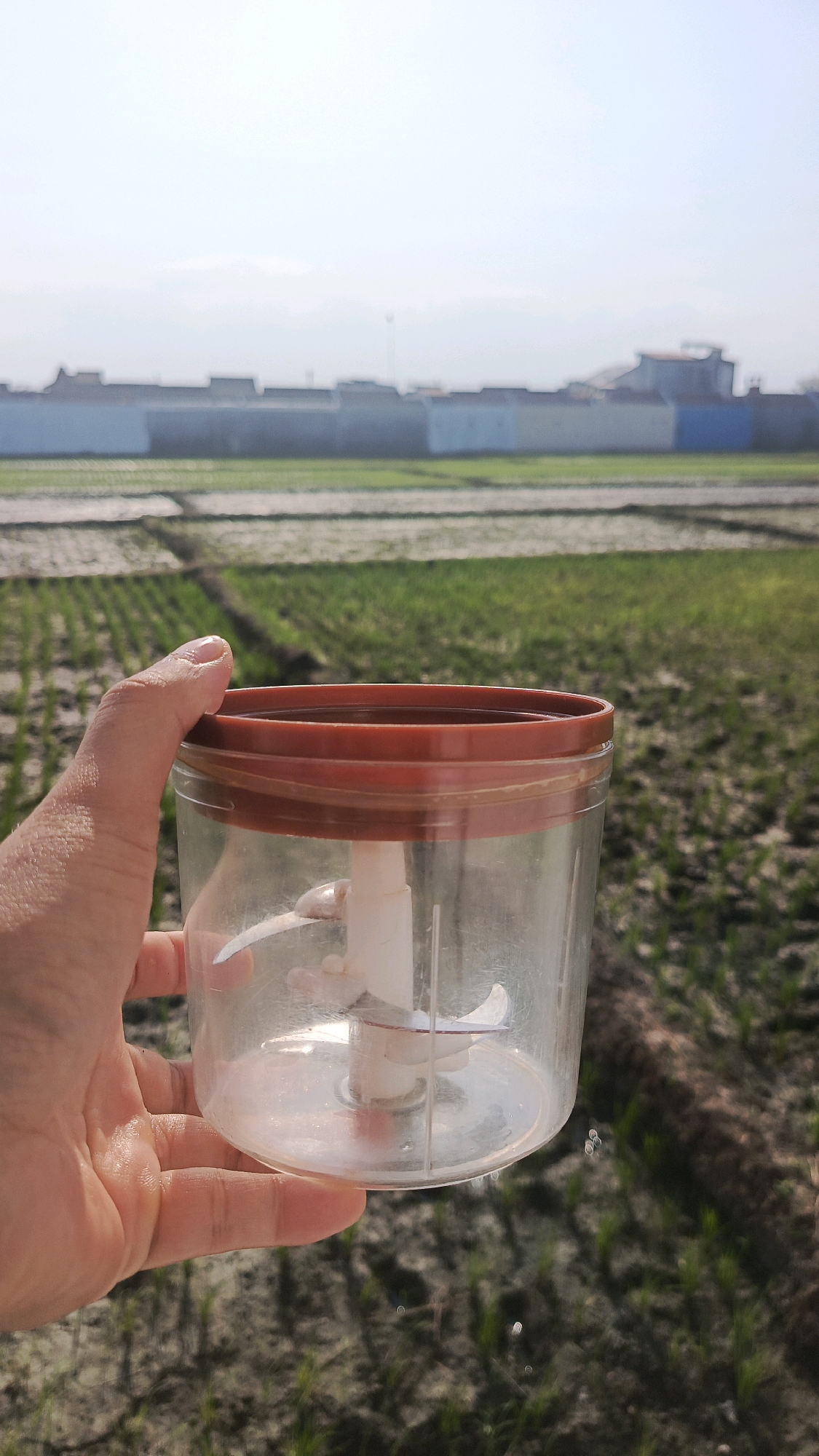 A person's hand is holding a clear plastic container with a red lid and blades inside. The container is in the foreground, with a blurry background of rice fields and buildings. The sky is bright and hazy. The scene appears to be outdoors in a rural area, possibly Babadan, Indonesia, given the presence of rice fields.