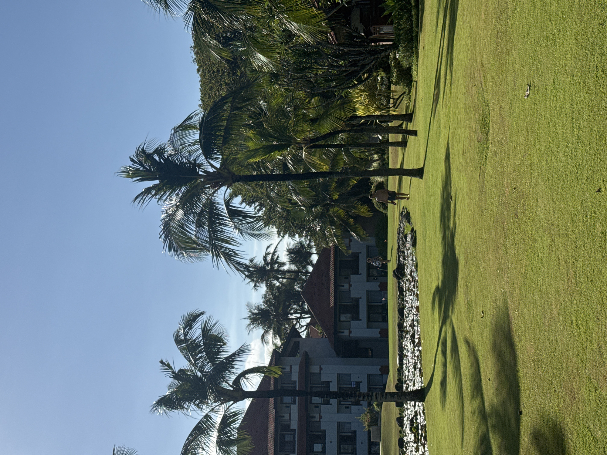 The image shows a sunny outdoor scene in Kuta Selatan, Indonesia. A lush green lawn occupies the foreground and extends towards the background. Several tall palm trees are scattered across the lawn, casting shadows. A multi-story building with a red tile roof is visible amidst the trees in the background. A person is walking across the lawn. A long, decorative water feature borders the lawn, reflecting light. The sky is clear and blue.