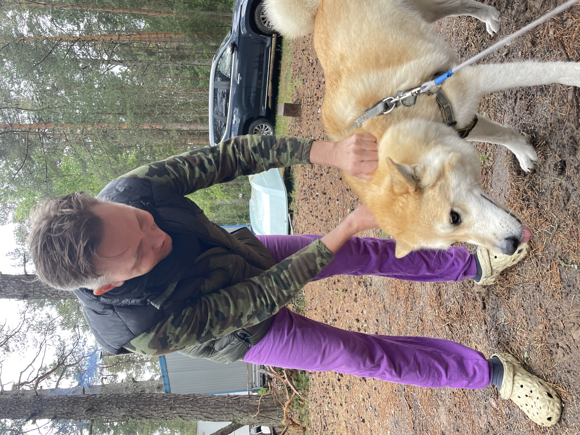 The image depicts an outdoor scene in a wooded area, specified as Zelenaya Roshcha, Russia. A male subject, appearing middle-aged with dark brown hair, is shown in the foreground interacting with a dog. He is smiling and bending forward, with both hands placed on the dog's back and neck, appearing to pet it. He wears a black puffer vest over a long-sleeved camouflage shirt, loose-fitting purple sweatpants, and beige, textured Crocs-style clogs with grey socks.
The dog, a light brown and cream-colored breed resembling a Shiba Inu or Akita, stands calmly with its head slightly lowered and tongue partially visible. It wears a dark collar with a grey leash attached by a metal clip, featuring a blue sleeve on the leash.
The environment is characterized by a forest of tall, slender conifer trees, likely pines, under an overcast sky. The ground is covered with dirt, pine needles, and scattered pine cones, with some areas appearing damp. In the middle ground, from left to right, a light-colored rectangular shed-like structure is visible, with a blue plume of smoke rising from a pipe behind it. To its right, a small, light blue or teal boat is overturned on the ground. Further right, a dark blue SUV, possibly a Mitsubishi Pajero Sport, is parked. A dark, rectangular wooden post is also visible vertically in the ground behind the dog.
