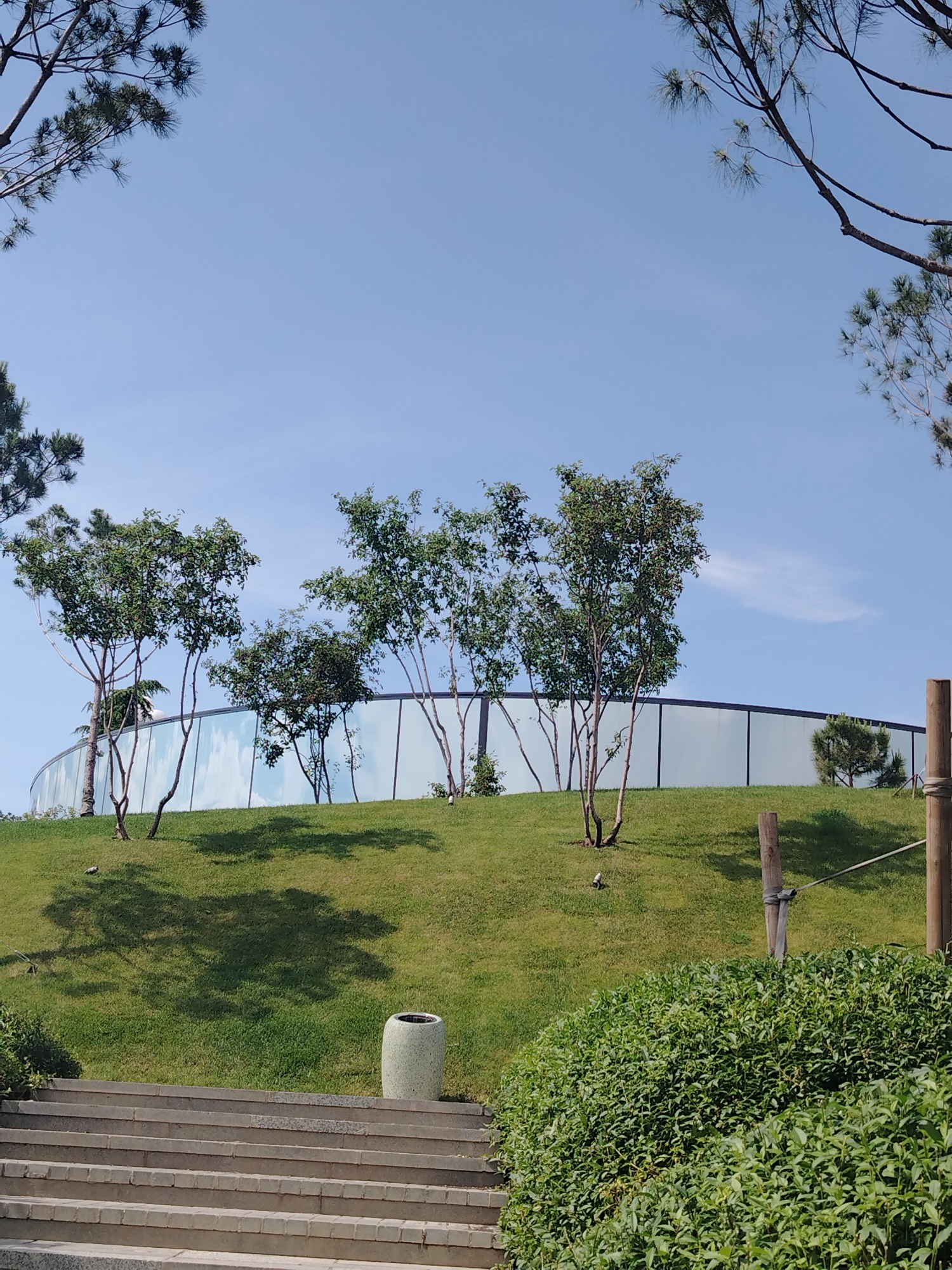 The image depicts an outdoor scene with a curved glass building in the background, partially obscured by trees. A grassy hill slopes upwards towards the building. Several slender trees with sparse foliage are positioned on the slope, casting shadows on the grass. A concrete trash receptacle is visible on the left side of the hill. In the foreground, a set of stone stairs leads up from the bottom edge of the frame, bordered by dense green foliage on the right. Two wooden posts with a rope tied between them are also present on the right side of the image. The sky is clear and blue with a few wispy clouds. The image does not contain any individuals or evidence of specific activities. The location is not identifiable from the visual information in the image.