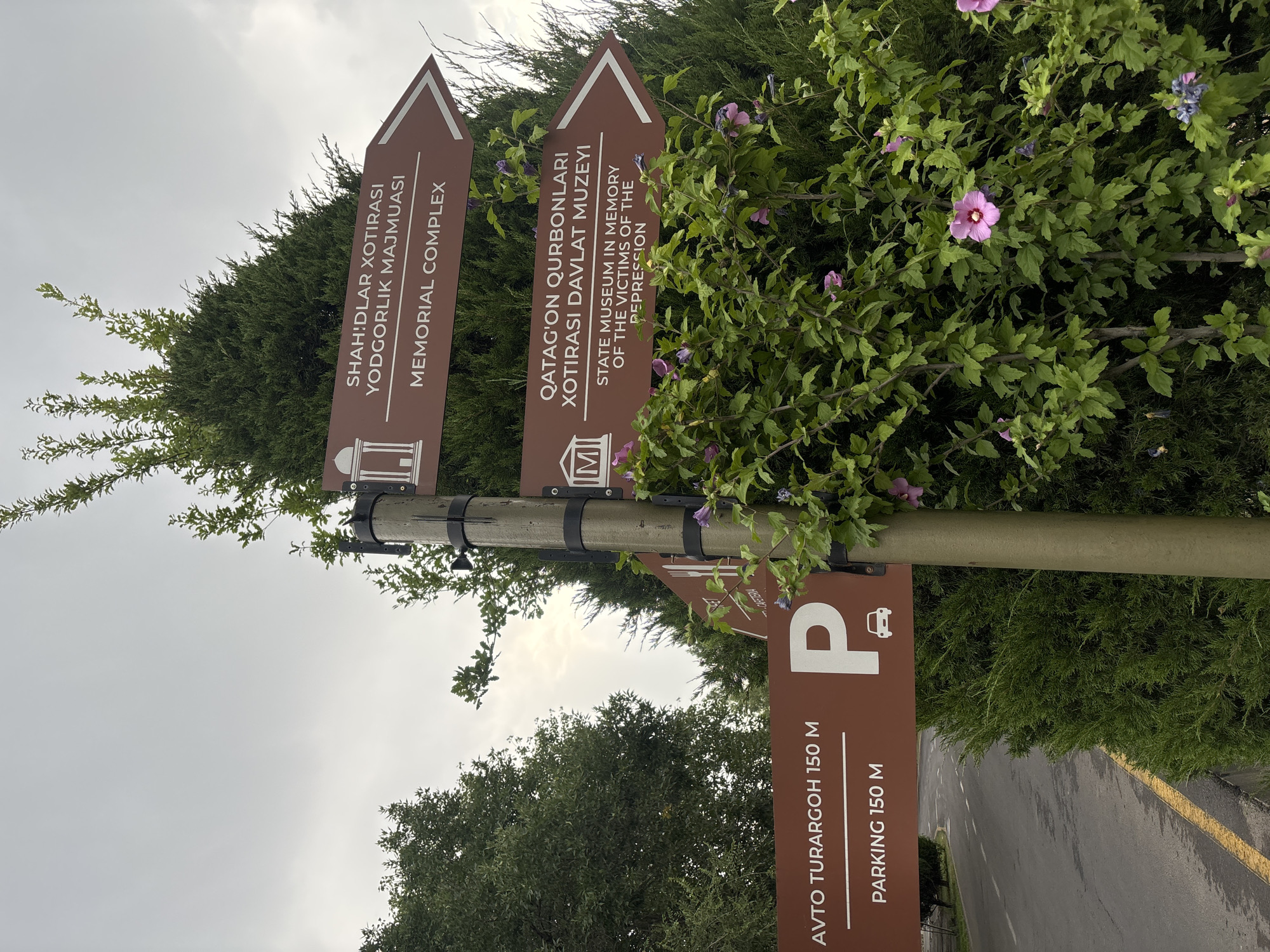 A brown directional signpost stands next to a dark green conifer tree. The signpost has three brown rectangular signs pointing to the right. The top sign reads "SHAHIDLAR XOTIRASI YODGORLIK MAJMULASI MEMORIAL COMPLEX." The middle sign reads "QATAG'ON QURBONLARI XOTIRASI DAVLAT MUZEYI STATE MUSEUM IN MEMORY OF THE VICTIMS OF THE REPRESSION." The bottom sign reads "AVTO TURARGOH 150 M PARKING 150 M" and features a white "P" logo and a car icon. To the left of the signpost, a paved road with yellow markings is visible, bordered by a green hedge. The background consists of dense green trees and a gray, overcast sky. Purple hibiscus flowers bloom on a shrub in front of the signpost. The scene is located at the Museum of the Victims of Repression in Tashkent, Uzbekistan.