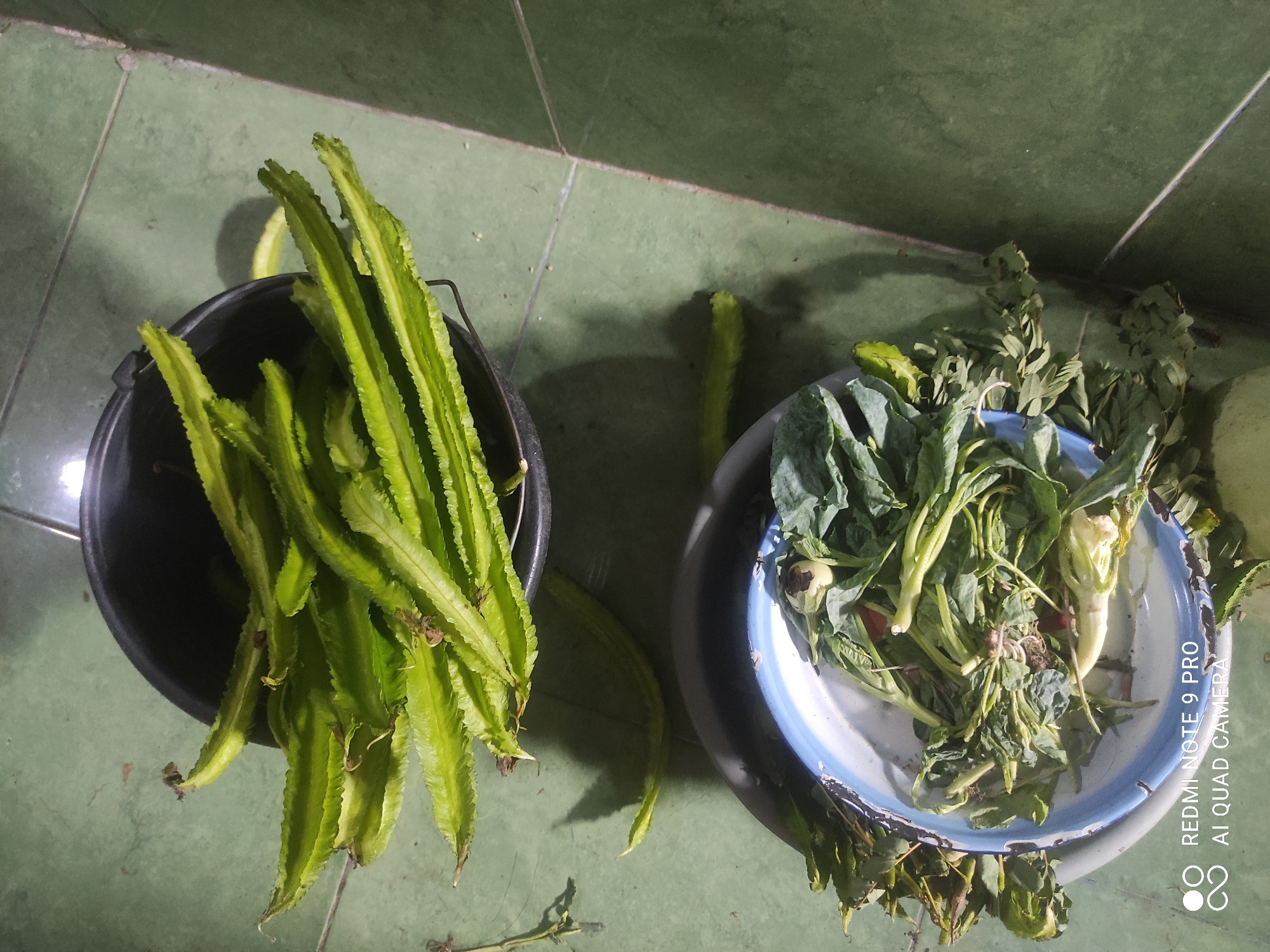 In Sakra, Indonesia, an overhead shot shows a black bucket filled with green winged beans resting on a green tiled floor. To the lower right, a blue and white bowl contains a mix of leafy greens and some vegetables. The scene is lit, casting shadows on the floor, suggesting an indoor or covered outdoor space. The floor tiles are arranged in a grid pattern.