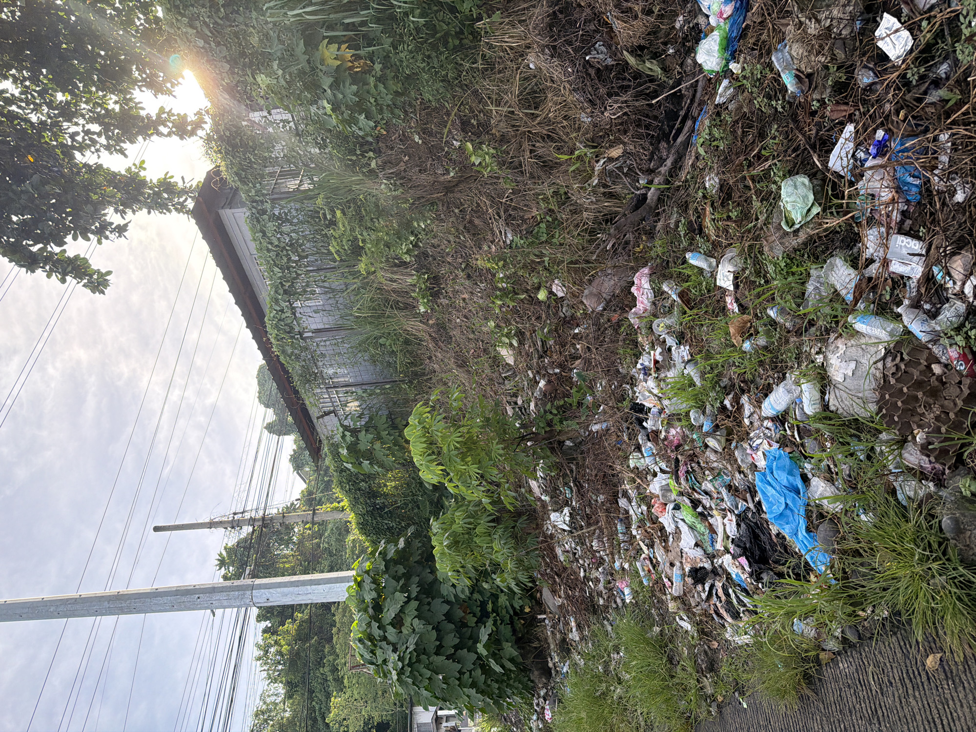 The image shows a roadside area in what is purported to be Davao City, Philippines, littered with a significant amount of trash. The trash consists of plastic bottles, wrappers, and other debris. The litter extends from the edge of a paved road up a grassy embankment and into the vegetation. The background includes power lines and trees. The sky is visible with the sun shining. The state of the area is unkempt.