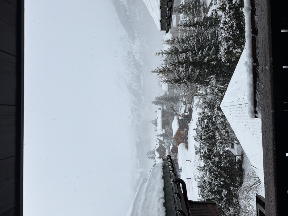 This image displays a snowy, winter scene in the village of Les Allues, France, observed from an elevated viewpoint, likely a balcony, during active snowfall. The immediate foreground is bordered by a dark overhead structure and a dark railing. Portions of two snow-covered rooftops with visible dark gutters appear on the far left and right. Below the railing, a triangular, snow-covered roof of a building is centered, surrounded by dense, snow-laden coniferous trees and shrubs.
The midground features a snow-blanketed alpine village with multiple wooden chalet-style buildings, all exhibiting snow-covered roofs. Near the center-right, a large piece of construction equipment, consistent with a crane or telehandler, is positioned adjacent to a prominent wooden building. Several dark-colored vehicles are partially obscured by snow in a parking area. To the left, an open, snow-covered field or slope shows a single individual, dressed in orange outerwear, walking from left to right.
The background consists of snow-covered mountains, partially obscured by heavy snowfall and atmospheric haze, merging with a uniformly overcast, light grey sky. Small snowflakes are visibly descending across the entire depicted landscape.