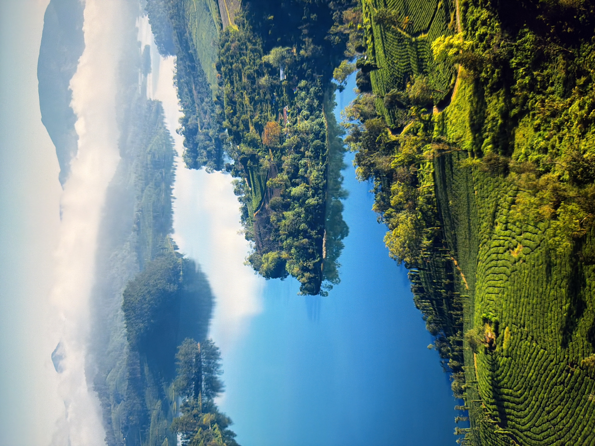 This is a high-angle, long shot of a serene landscape dominated by a large, calm body of blue water, likely a lake or reservoir. The water reflects the sky and surrounding greenery, creating a mirror-like effect. Along the edges of the water, lush green hills are covered in terraced fields, creating a pattern of undulating lines. Scattered trees, varying in shades of green and some with hints of yellow, dot the hillsides. In the background, more hills are shrouded in a soft mist, with the peaks of mountains visible through the haze under a pale blue sky. There are no people or man-made structures prominently visible in this natural scene. The image does not depict any elements that would suggest it is located in the city of Kyiv, Ukraine.
