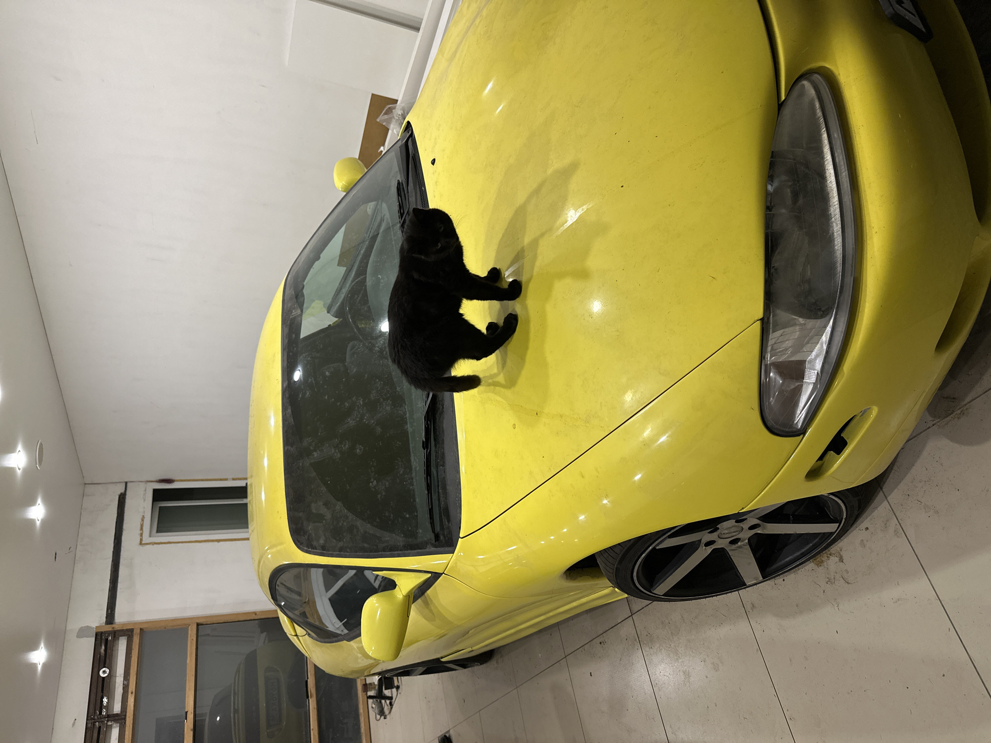 A black cat is perched on the hood of a yellow sports car in a garage. The car is parked on a tiled floor. A window is visible in the background. The location is not determined.