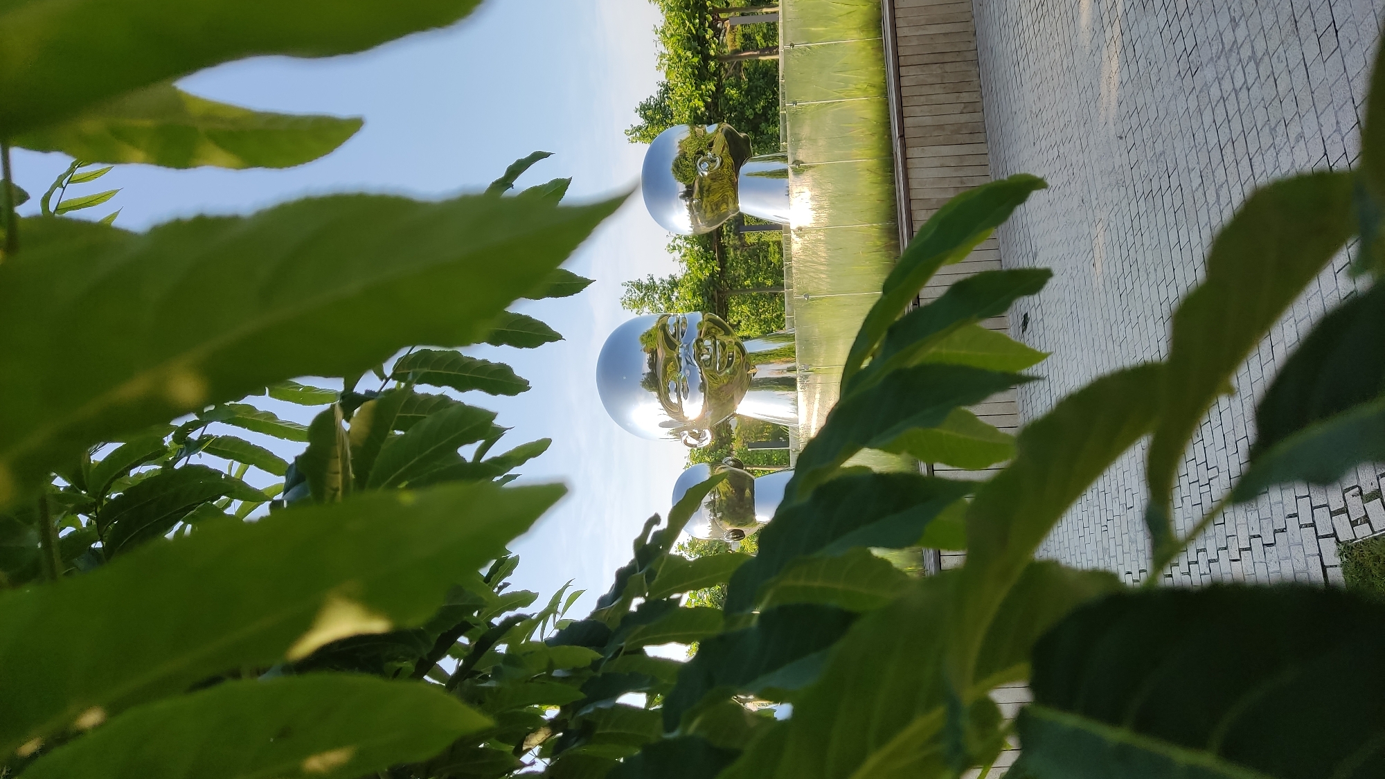 The image captures three large, shiny, silver sculptures of baby heads, with the central one featuring a smiling face and the other two facing left and right, respectively. These sculptures are positioned behind a low, clear glass barrier, with a wooden planter box in front of it. The background consists of lush green trees and a clear blue sky. In the foreground, large green leaves partially obscure the view of the sculptures, creating a natural framing effect. The ground in front of the sculptures is paved with light-colored rectangular bricks arranged in a pattern. This scene is located in the "Solar District" residential complex in Krasnodar, Russia.