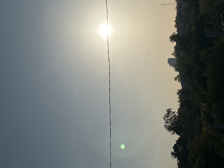 The image is a sideways view of a sunny landscape. A dark wire runs vertically down the center, bisecting the scene. To the left, the sky is a hazy blue. The sun, a bright spot, sits atop the wire. To the right, a mix of dense green trees and shrubs form a border. A building is visible among the foliage.