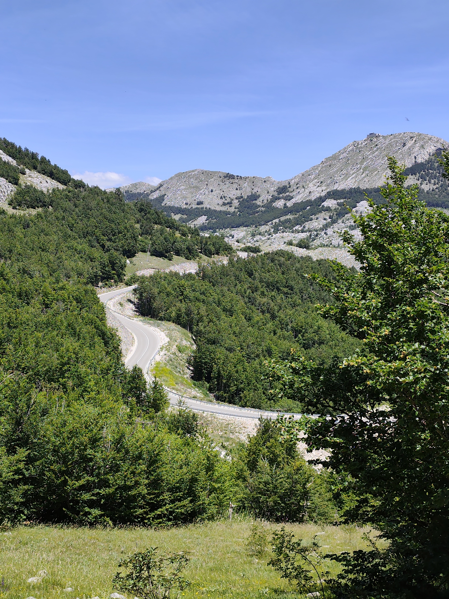The image depicts a scenic mountain landscape with a winding road. Lush green trees cover the slopes of the mountains, creating a dense forest. The road, paved with asphalt, curves through the trees, with guardrails visible along its edges. In the background, rugged, rocky mountain peaks rise against a clear blue sky. The foreground features a grassy meadow with scattered rocks and some smaller bushes. The scene appears to be a rural or natural area, likely part of a mountain range. Based on the provided information, this scene is located in Dolovi, Montenegro. No people or specific actions are visible in the image.