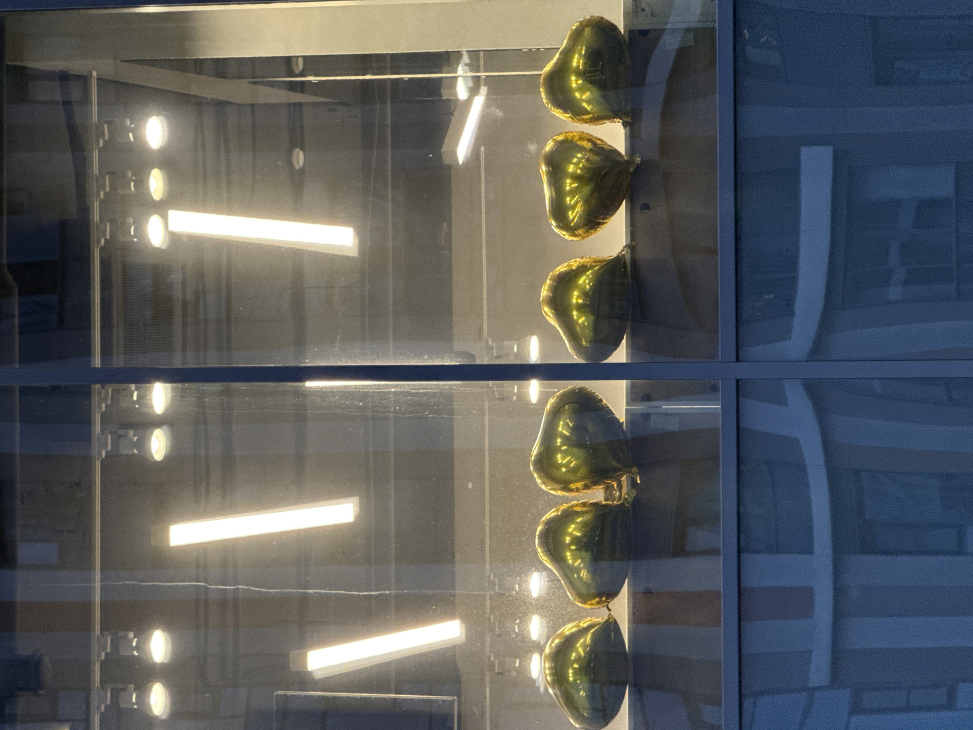 A storefront window displays six golden heart-shaped balloons arranged in a horizontal line. The balloons are reflective and catch the light from overhead fixtures. Behind the balloons, several long, rectangular fluorescent lights are visible, along with some round track lighting. The reflection in the window shows vertical striped patterns. The scene appears to be at dusk or at night, as indicated by the artificial lighting. The image was taken in Moscow, Russia.