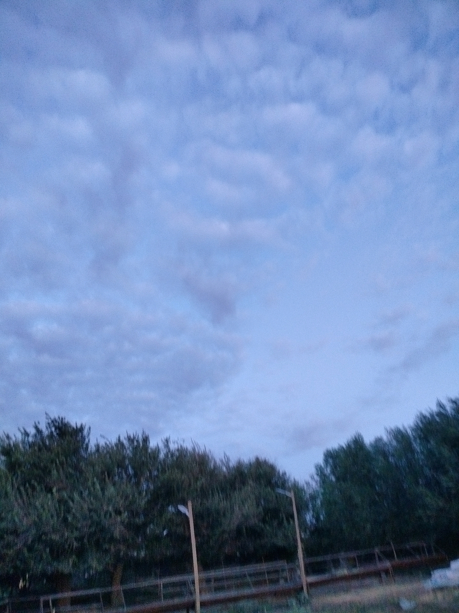 A low-angle, outdoor, wide shot captures a cloudy blue sky with scattered, wispy clouds. Below the sky, a dense line of dark green trees stretches horizontally across the frame. In the lower foreground, a wooden fence runs parallel to the tree line. A single, tall, light-colored pole with a light fixture at the top is visible standing amidst the trees, slightly off-center to the right. The scene appears to be at dusk or dawn due to the muted light and the soft quality of the sky. The location is identified as Көлкент, Kazakhstan.