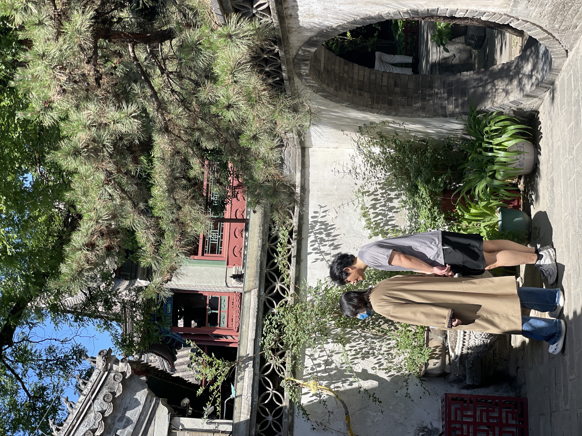 The image depicts a scene in Xicheng District, China. Two people are standing close to a weathered, light-colored wall adorned with a decorative latticework design. A sprawling tree dominates the upper left portion of the frame, its branches extending over traditional Chinese architecture with red window frames. An arched doorway leads into a shaded courtyard or garden.
The person closer to the viewer is wearing a tan-colored trench coat and jeans, with white shoes. The other person is wearing a gray t-shirt and black shorts, with white shoes. The two people are standing close to each other and facing the wall.