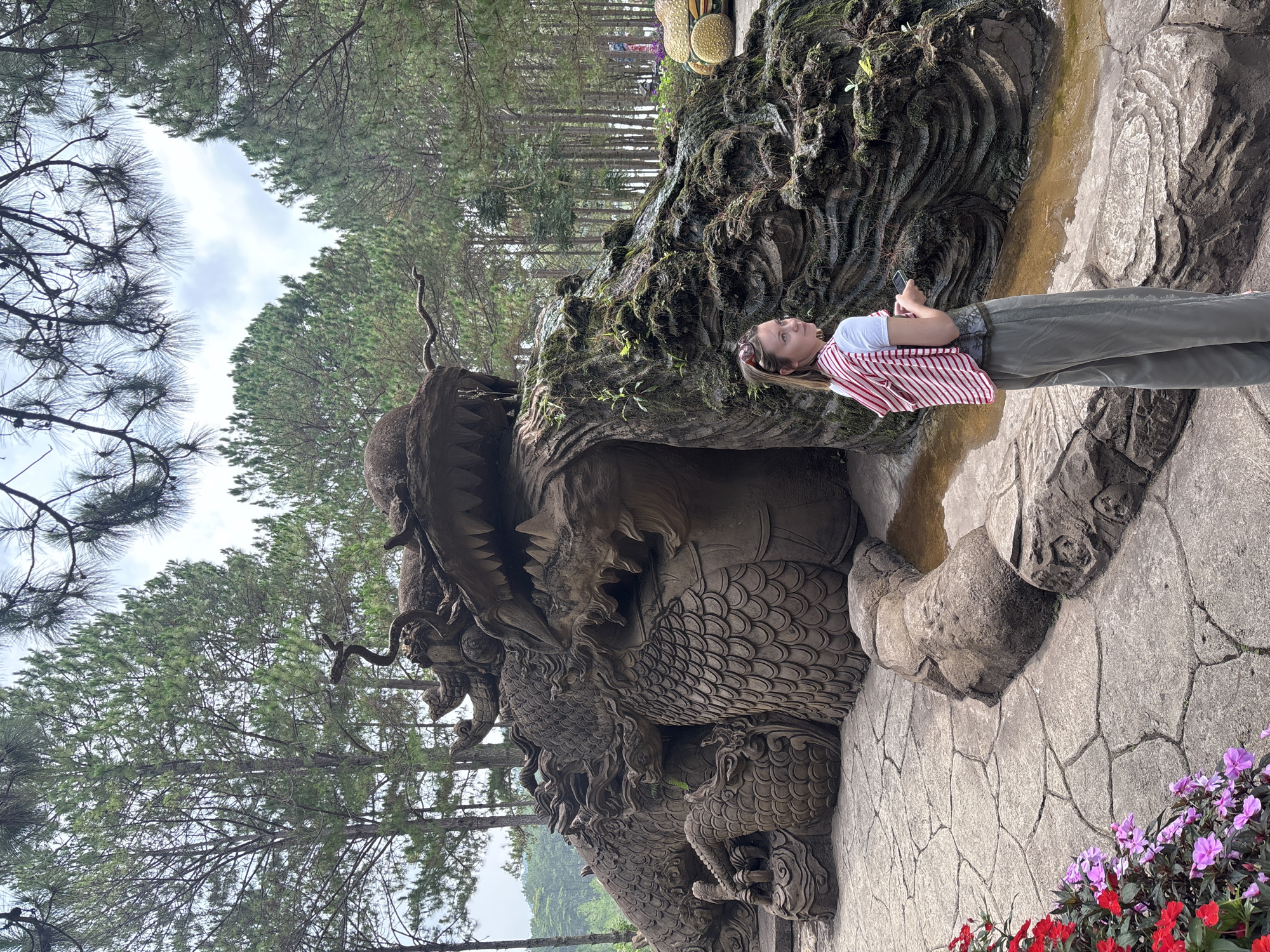 A vertically oriented photograph captures a young woman admiring a colossal dragon sculpture amidst a lush pine forest, characteristic of a scenic location like Da Lat, Vietnam. The woman, positioned towards the right of the frame, has light-colored hair and is dressed in a white t-shirt, a red and white striped sleeveless top, and grey/green wide-leg pants. She holds a smartphone in her left hand and has sunglasses resting on her head, looking upwards towards the magnificent sculpture or the surrounding treeline with a contemplative expression.
The central subject is an immense, intricately carved dragon sculpture, crafted from a dark, textured material resembling stone or concrete. Its prominent head, featuring detailed scales, sharp teeth, and expressive facial features, dominates the left side of the mid-ground. Behind the woman, part of the sculpture appears to be a gnarled, moss-covered structure, evocative of ancient tree roots, with patches of green moss and small plants growing on its surface. Areas around the sculpture suggest the presence of water, possibly from a fountain or pond.
The background is dominated by a dense forest of tall, slender pine trees, their needle-like foliage reaching skyward against an overcast, light grey sky. The ground beneath the woman and around the sculpture is paved with large, irregularly shaped stone slabs. In the bottom right corner, a vibrant array of red and purple flowers adds a pop of color to the natural and sculpted environment. The scene depicts a tranquil daytime visit to a unique outdoor attraction. No visible text is present in the image.