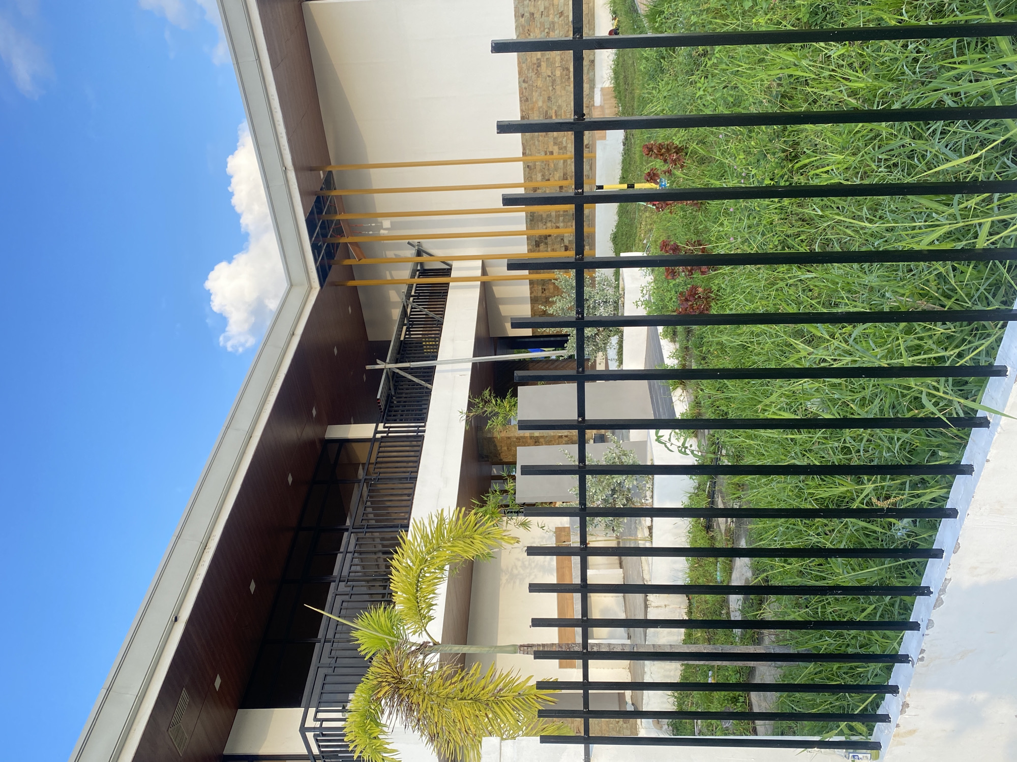 The image depicts a modern two-story building with a cantilevered roof, partially obscured by a black metal fence and lush green vegetation. The building features a light gray roof, a dark wood soffit, and large windows on the upper level, indicating a second floor balcony or walkway. The exterior walls are predominantly white, with a section of the second floor clad in stacked stone veneer. Several tall, slender yellow pillars are visible on the right side of the building, suggesting an architectural accent or support structure. In the foreground, a small palm tree with yellowing fronds is positioned to the left of center, behind the fence. The vegetation behind the fence is overgrown with tall grass and some smaller plants with reddish foliage. The sky is bright blue with scattered white clouds. A security camera is visible mounted on the underside of the roof overhang on the left side of the building. The overall impression is that of an unfinished or recently constructed building, possibly a commercial establishment or a residential property, located in an urban or suburban area. The presence of the fence and the architectural style suggest a location in a developed area. Given the style of the building and the vegetation, it is plausible that this location is within Davao City, Philippines, known for its tropical climate and modern architectural developments.