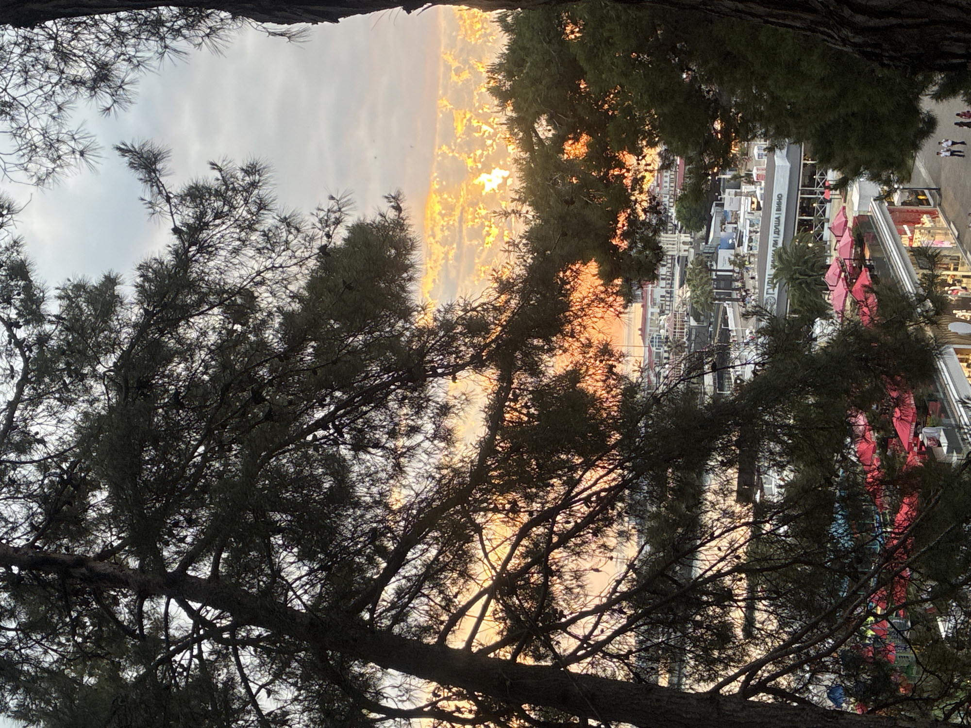 This is a vertical, eye-level, outdoor photograph taken from an elevated vantage point, looking down at a coastal city. The foreground is dominated by the dark silhouettes of pine trees, with their branches and needles obscuring much of the view. Through the gaps in the trees, a city skyline is visible, characterized by white buildings with red rooftops. The sky is overcast, with a band of bright orange and yellow light indicating a sunset or sunrise.
The city appears to be a resort town, with numerous outdoor umbrellas, many of them red, suggesting a commercial or recreational area. There are visible signs of activity, with small groups of people walking on pathways. The architecture suggests a European style, consistent with many Black Sea resorts. Given the context of pine trees and a coastal city with such architecture and a resort atmosphere, this scene is highly likely to be located in Sochi, Russia. The specific area may be the central promenade or a viewpoint overlooking a beachside commercial zone. The overall lighting is dim due to the approaching evening or early morning, with the vibrant sky providing the primary light source.