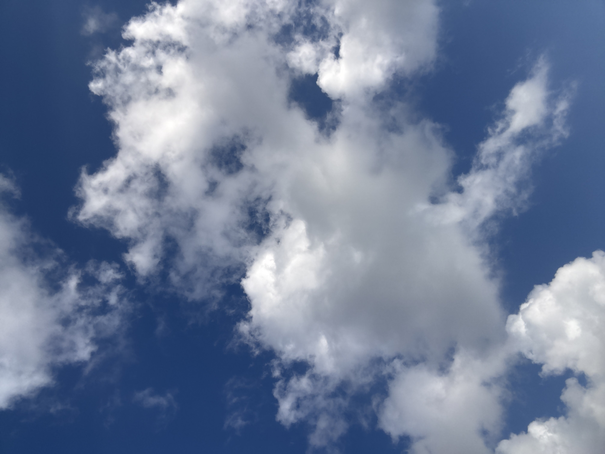 This is a close-up, low-angle shot of a bright blue sky filled with scattered cumulus clouds. The clouds are predominantly white and fluffy, with some areas appearing slightly gray, suggesting they are at varying depths and densities. The sunlight is clearly illuminating the clouds from above and to the right, creating highlights and shadows that give them dimension. There are no people, structures, or land visible in the frame; the image solely focuses on the atmospheric conditions. This scene is consistent with typical daytime weather in Kuta Selatan, Indonesia, a region known for its tropical climate characterized by sunny skies and occasional cloud formations.