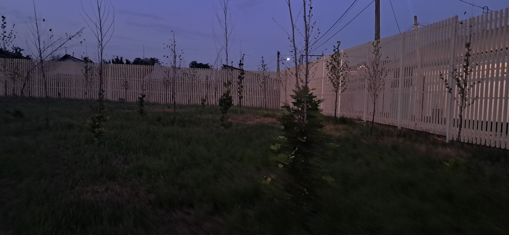 A low-angle, wide shot shows a grassy slope in front of a white picket fence under a twilight sky. The fence, made of vertical slats, extends horizontally across the middle ground. Several young trees with sparse foliage are planted in front of the fence, with one larger evergreen tree in the foreground. The grass on the slope is a dark green, appearing blurred due to motion or low light. Power lines and poles are visible against the dusky blue sky. The scene appears to be a residential or park area.