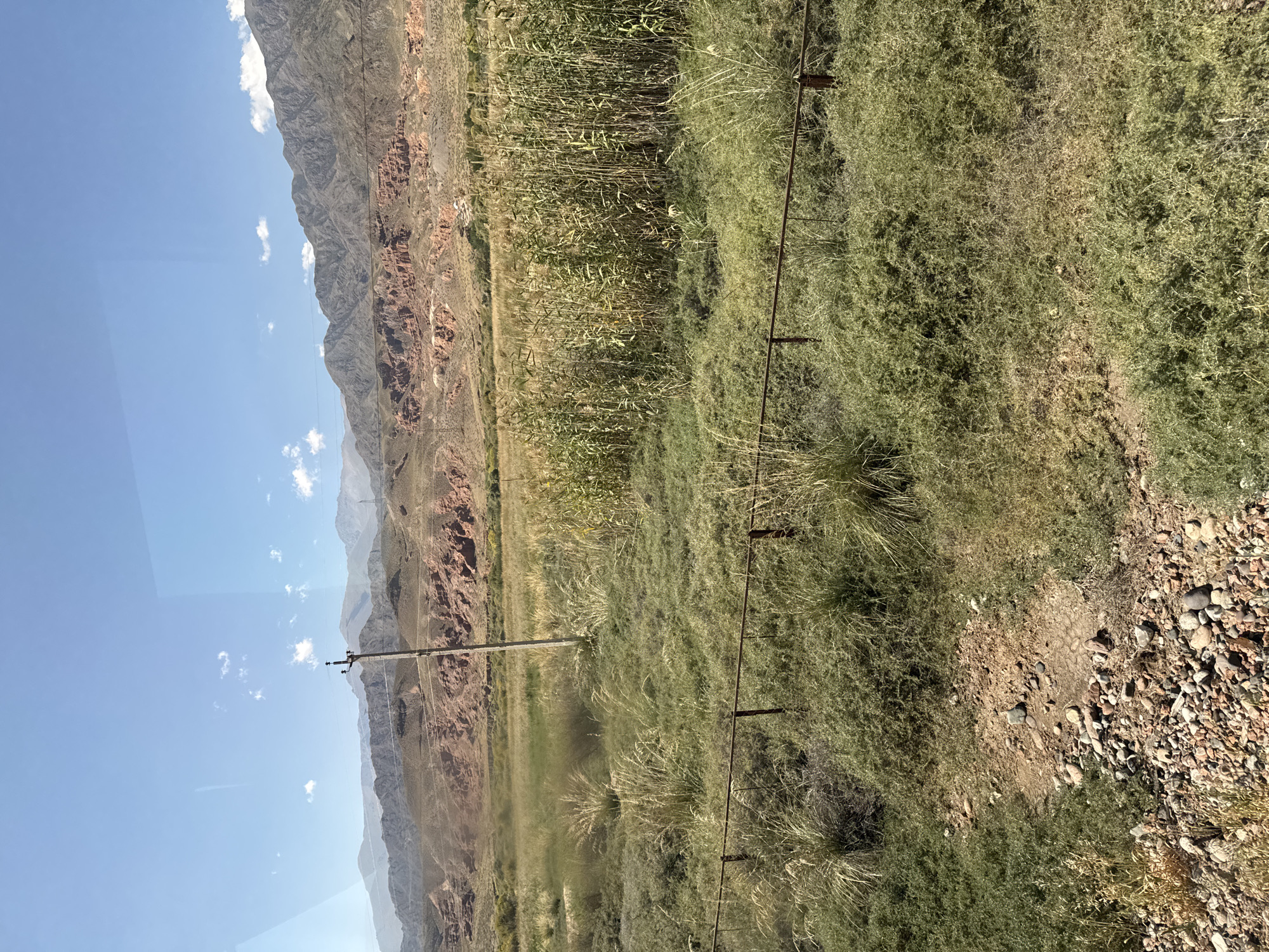 The image shows a rural landscape with mountains in the background and a grassy field in the foreground. The mountains are a mix of rocky, red-colored slopes and barren, gray peaks. The field is covered in various types of vegetation, including tall reeds, dry grasses, and low-lying green bushes. A rusty metal fence runs horizontally across the middle of the frame. A single, tall utility pole with wires is visible in the field, off-center to the left. The sky is clear and blue with a few wispy clouds. The ground in the immediate foreground is rocky and dry. The scene appears to be an outdoor, natural environment in a mountainous region.
