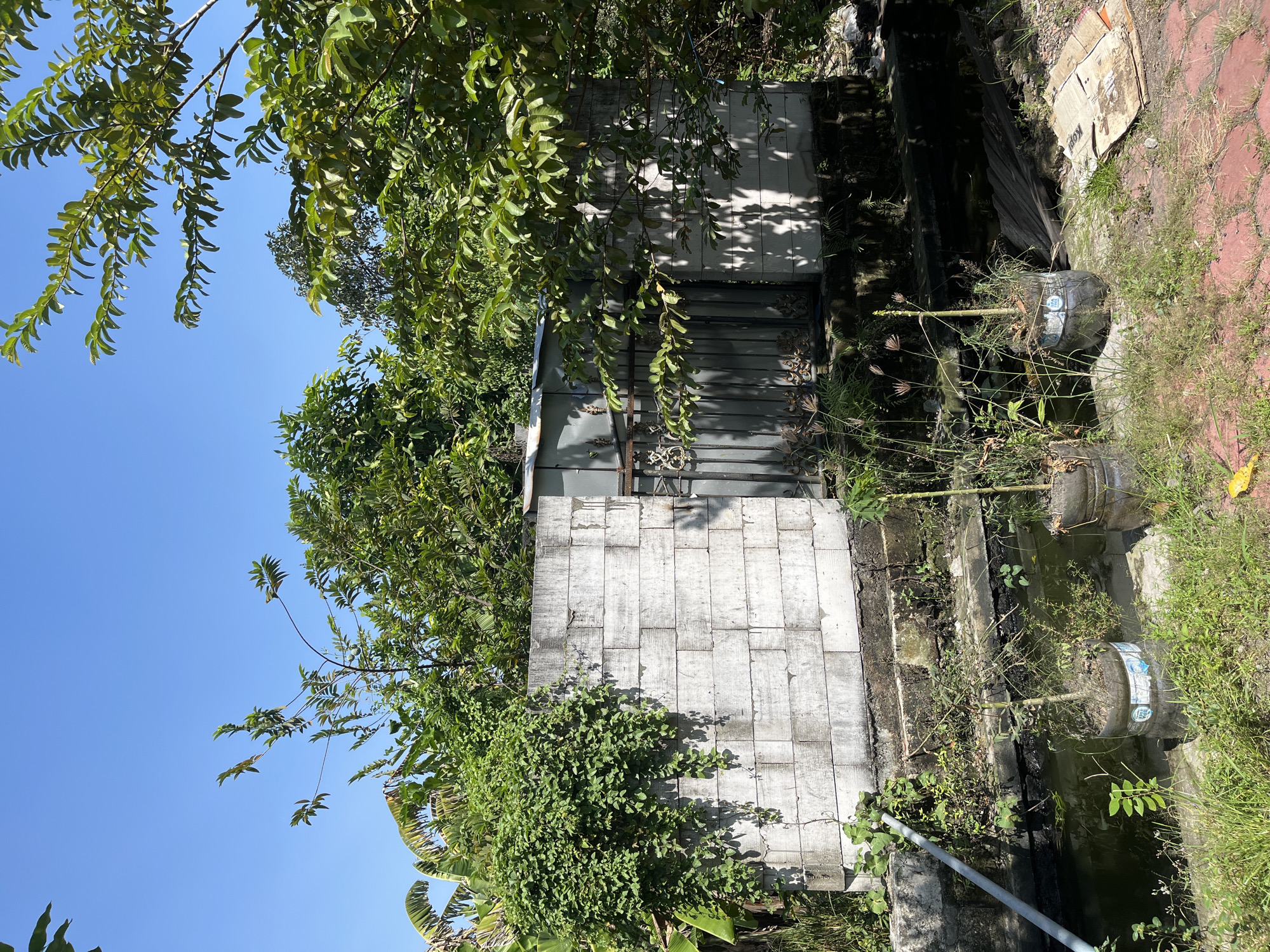 The image depicts a sunny outdoor scene in Pesawahan, Indonesia, featuring a cinder block wall partially covered in green foliage. A gray metal gate is visible in the center of the wall. In front of the wall, a narrow channel of dark water runs horizontally, with several plants in plastic bottles placed along its edge. The surrounding area is overgrown with grass and other vegetation. The sky is clear and blue.