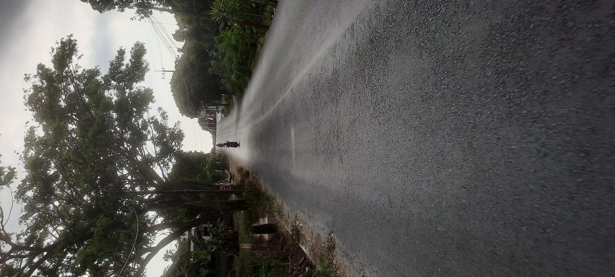 The image depicts a moderately wide, paved road in Mronjo, Indonesia, under a cloudy sky. The road surface appears somewhat worn and wet, suggesting recent rain or high humidity. On the left side of the road, a large tree with dense foliage shades a portion of the roadside. Beyond the tree, there are indications of houses or structures and vegetation. On the right side of the road, more trees and lush green plants line the path, with some utility poles and wires visible in the distance. Two motorcycles are traveling away from the viewer, one behind the other, on the right side of the road. The lead motorcycle is closer and more distinct, while the second motorcycle is further down the road and less visible. The scene conveys a sense of a rural or semi-rural setting on a road in Mronjo.