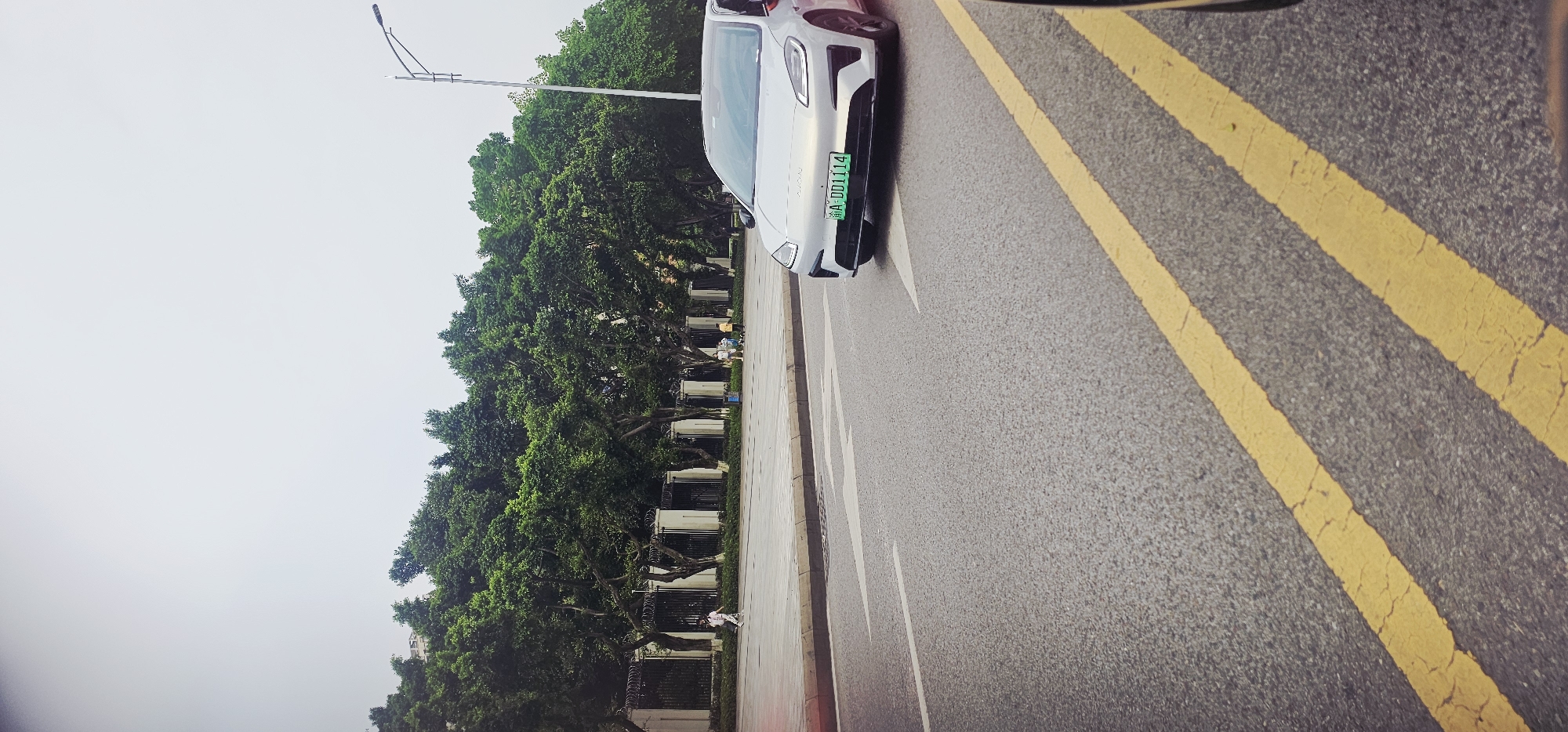 The image captures an outdoor scene on a road in Jiulongpo District, Chongqing, China. A white vehicle with a green license plate reading "渝A·DD1114" is positioned on the right side of the frame. The road features double yellow lines running parallel to each other. A tree-lined area stretches along the left side of the road, with a sidewalk alongside. A light pole is visible in the background. The sky appears overcast.
