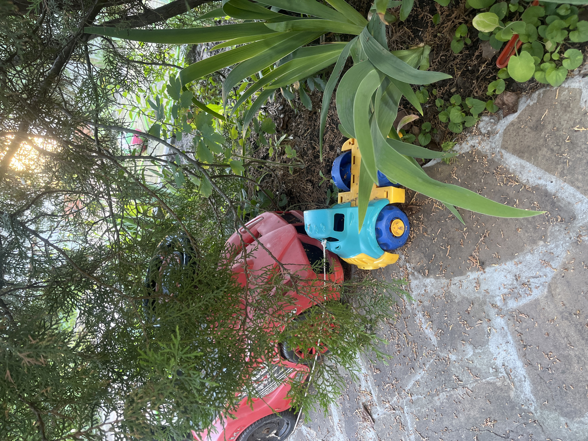 The image depicts a backyard scene in Voronezh, Russia, on a sunny day. A red toy sports car and a blue and yellow toy truck are partially visible, nestled amongst lush green foliage. The toys are situated on a stone pathway that is partly covered with fallen leaves and pine needles. Sunlight filters through the branches of an evergreen tree, casting dappled shadows on the ground and illuminating the scene. In the background, other plants and a hint of a distant structure are visible. The overall impression is one of a quiet, natural outdoor space.