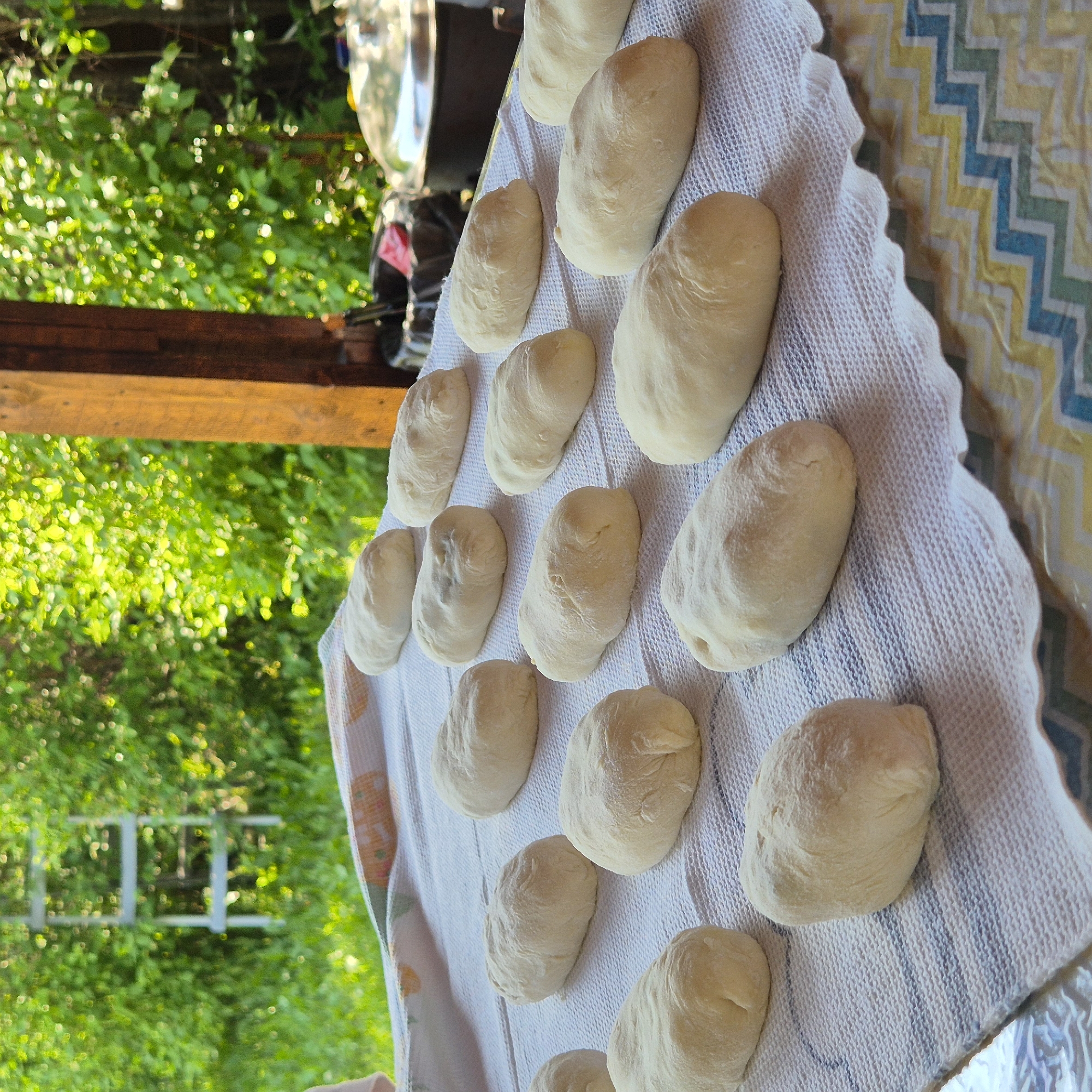 This image depicts an outdoor food preparation scene in Новостройка, Russia, under bright daylight conditions. The primary subjects are approximately sixteen elongated, oval-shaped pieces of unbaked dough, which are arranged in rows on a white, waffle-weave kitchen towel covering a table. The dough pieces are uniformly light beige, suggesting a final proofing stage or readiness for cooking.
The towel rests on a multi-colored tablecloth featuring a yellow, blue, and green zig-zag pattern, visible at the bottom of the frame. To the right, a thick, dark brown wooden structural post is prominently featured. Beyond the post, the background reveals dense, brightly lit green foliage, characteristic of trees or bushes, indicating a natural, possibly garden, environment. A blurred, light-colored metallic A-frame ladder is visible on the far left amidst the foliage. In the mid-ground right, partially obscured by the wooden post, a black trash receptacle containing a red item is present. Adjacent to it, a large, reflective, dome-lidded metal pot or serving dish is partially visible, implying outdoor cooking or serving activities. No individuals are present in the frame.