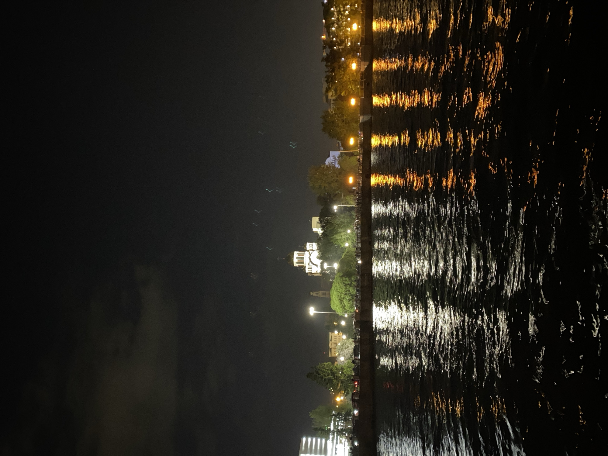 The image shows a night view in Yekaterinburg, Russia. Illuminated buildings and streetlights are visible along the city's waterfront. The lights are reflected in the dark water. There are also what appears to be some birds flying in the sky.