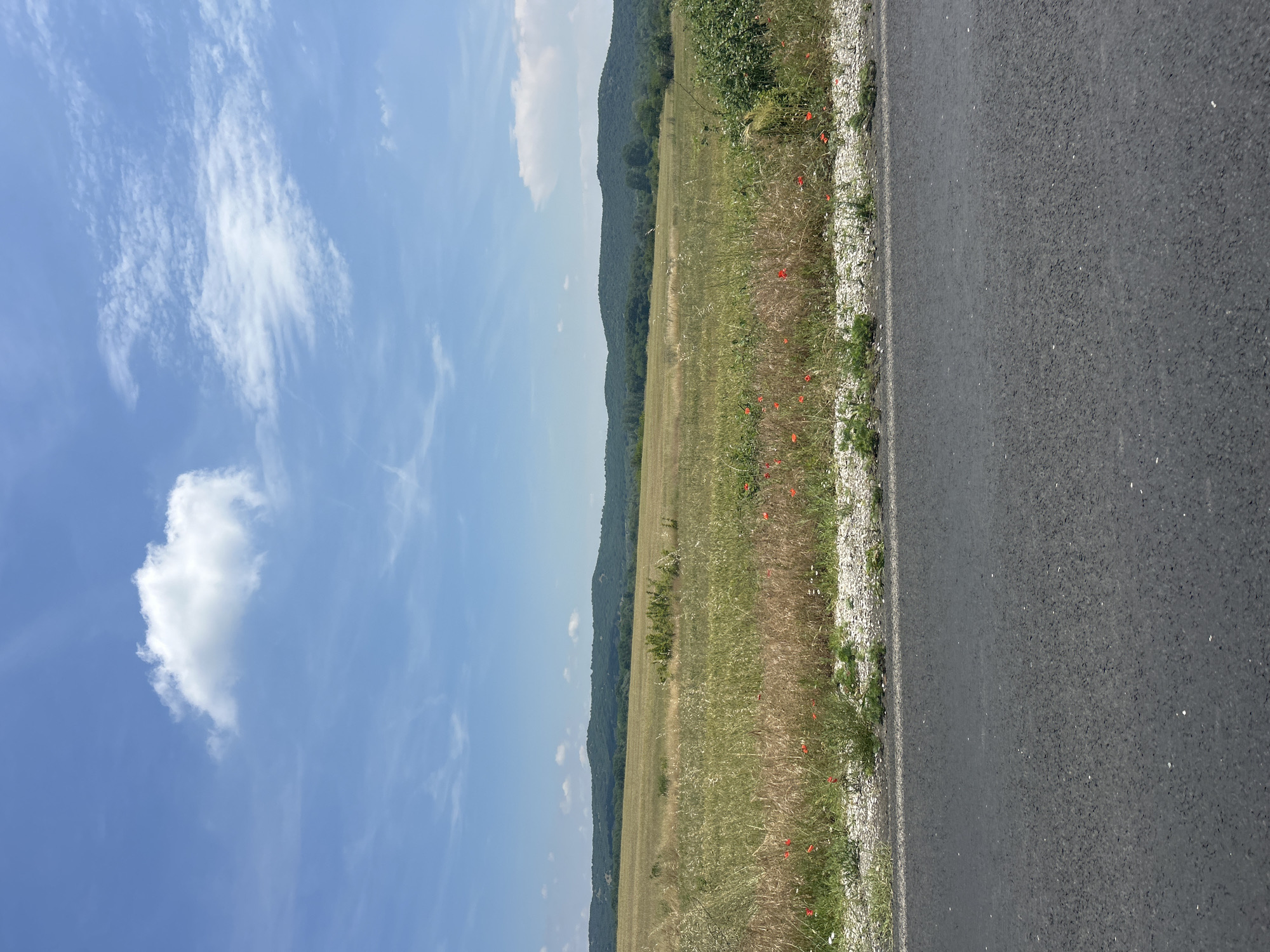 The image captures a rural landscape under a clear blue sky. In the foreground, a dark asphalt road occupies the right side of the frame, showing a fine granular texture. To its left, a narrow verge of light-colored gravel and sparse green vegetation borders the road. Beyond this verge, a wide, expansive field stretches horizontally, dominating the midground. The field exhibits varying shades of green and dry straw-yellow, suggesting a warm season. Scattered within the field, particularly closer to the road, are several vibrant red flowers, likely poppies, adding small bursts of color.
In the background, a series of gently rolling hills or mountains rise, their slopes densely covered with green foliage, forming a continuous natural barrier across the horizon. The sky, filling the upper left portion of the image, is a bright, clear blue, punctuated by a few scattered white clouds. There's a prominent fluffy cumulus cloud towards the lower left and softer, wispy cirrus clouds elsewhere. The bright lighting indicates it is daytime, likely late morning or early afternoon. There are no people, animals, or visible text in the image, depicting a tranquil natural scene. The setting suggests an open, unpopulated area.