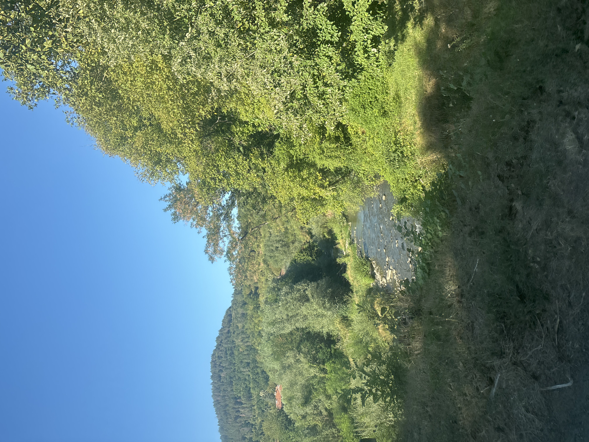 The image depicts a serene natural landscape with a clear blue sky overhead. In the foreground, overgrown dry grass and vegetation dominate the lower portion of the frame. A gently flowing river, with a rocky bed visible through its clear water, meanders through the scene from the right towards the left, disappearing into the distance. The riverbanks are lush and verdant, lined with a variety of trees and dense foliage.
To the left of the river, a forested hill rises in the background, its slopes covered with a mix of trees. A cluster of red-tiled roofs of houses can be seen nestled amongst the trees on the hillside, suggesting a small settlement or village. On the right side of the image, a large, leafy tree with vibrant green foliage stands prominently, casting a shadow onto the grassy bank of the river. The overall impression is one of a peaceful, rural environment.
Based on the visual cues, this scene is consistent with the natural beauty found in and around Kalugerovo, Bulgaria, a region known for its picturesque rolling hills, forests, and waterways. The presence of the river, lush vegetation, and the distant settlement strongly suggest a location within or adjacent to such a rural Bulgarian setting.