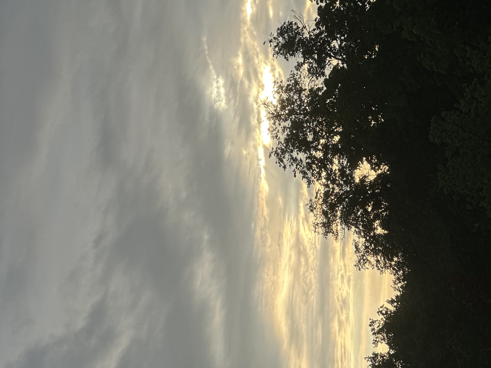 The image depicts a sky at sunset or sunrise, with clouds that are partially illuminated by the sun. There are trees with dense foliage visible in the right portion of the image, silhouetted against the bright sky. The picture has been taken from a low angle, looking up at the sky and trees. It's impossible to determine the location is in Nizhny Novgorod, Russia or any other specific location.