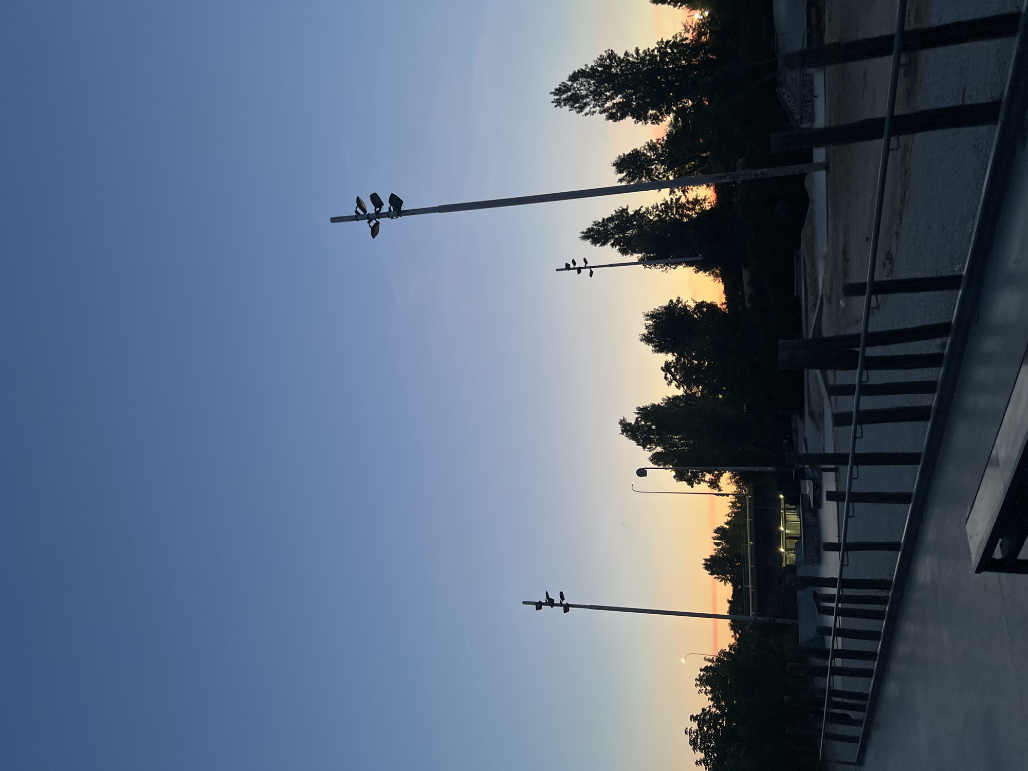 The image depicts a sunset scene with a clear blue sky transitioning to orange and yellow hues near the horizon. Silhouetted against the sky are several tall poles with lights, some of which have birds perched on them. Trees line the background, adding to the natural scenery. In the foreground, there appears to be a paved area with some railing or fencing, suggesting an outdoor public space. The lighting suggests it is either sunrise or sunset, with the warm colors of the sky indicating the latter. No people are visible in the image. The overall mood is serene and peaceful, capturing the quiet beauty of nature at dusk. The location context is Madrid, Spain, which could imply a park, an urban plaza, or a scenic overlook. There is no visible text in the image.