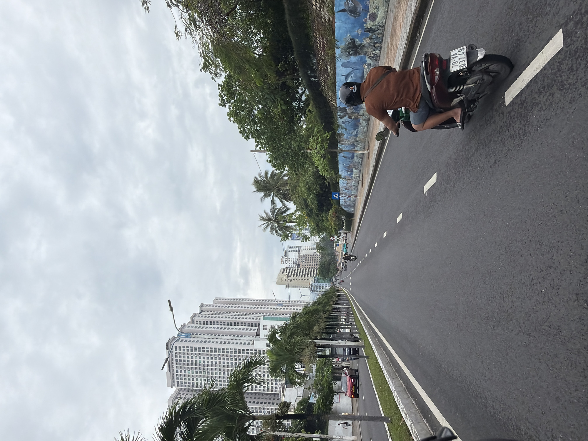 This image captures an urban street scene in Bac Nha Trang Ward, Vietnam, on an overcast day. The perspective is slightly elevated and angled, looking down a wide road.
The primary subject is a person riding a dark red/maroon motorbike on the right side of the road, moving away from the viewer. The rider is wearing an orange-brown shirt, dark shorts, and sandals, with a black helmet and a shoulder bag. The motorbike's rear license plate, "79-VA 037.49," is clearly visible.
To the immediate right of the road, a raised concrete barrier separates the street from a sidewalk or median adorned with a vibrant, blue-toned mural depicting underwater marine life, including dolphins and various fish. Lush green trees and palm trees line this section.
Further into the distance, a long stretch of asphalt road extends, marked with white solid and dashed lines, indicating multiple lanes. On the left side of the road, a dense cluster of tall, modern high-rise buildings with numerous windows forms a cityscape backdrop. Palm trees are also visible along the median separating traffic lanes and near the buildings. Other vehicles, including motorbikes and cars, are discernible in the distance, suggesting ongoing traffic.
The sky is uniformly cloudy and gray, indicating overcast weather without direct sunlight. The overall setting is a developed urban area, likely a major thoroughfare or promenade, characterized by its modern architecture, coastal vegetation, and active traffic.