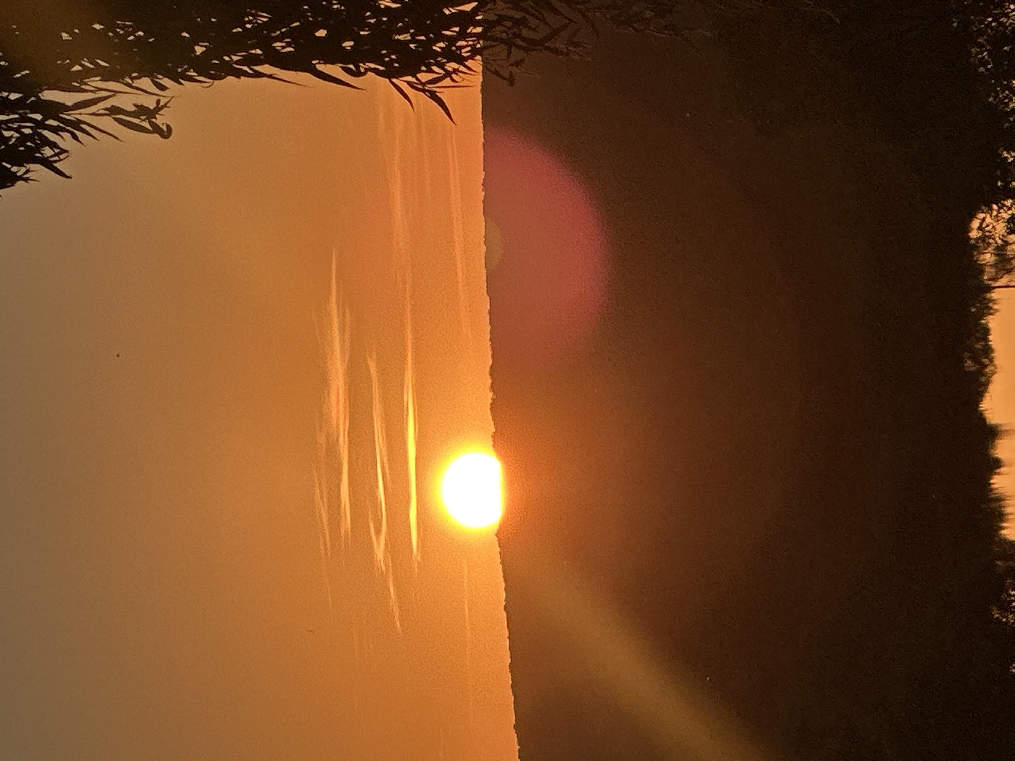 The image captures a sunset over a hilly landscape, likely near Makiv, Ukraine. The sun, a bright, glowing orb, is partially obscured by the crest of a hill, casting a warm, orange light across the sky. Thin, wispy clouds stretch horizontally across the upper portion of the frame, catching the sunlight. The foreground is dominated by the dark silhouette of a tree with long, drooping leaves on the right side of the image. Below the hill, a darker, out-of-focus area suggests a body of water reflecting the sunset colors, with the indistinct shapes of trees visible along the far bank. A faint lens flare, appearing as a pinkish-red halo, is visible in the mid-ground. The overall atmosphere is serene and natural, indicative of a rural or semi-rural setting during the golden hour.