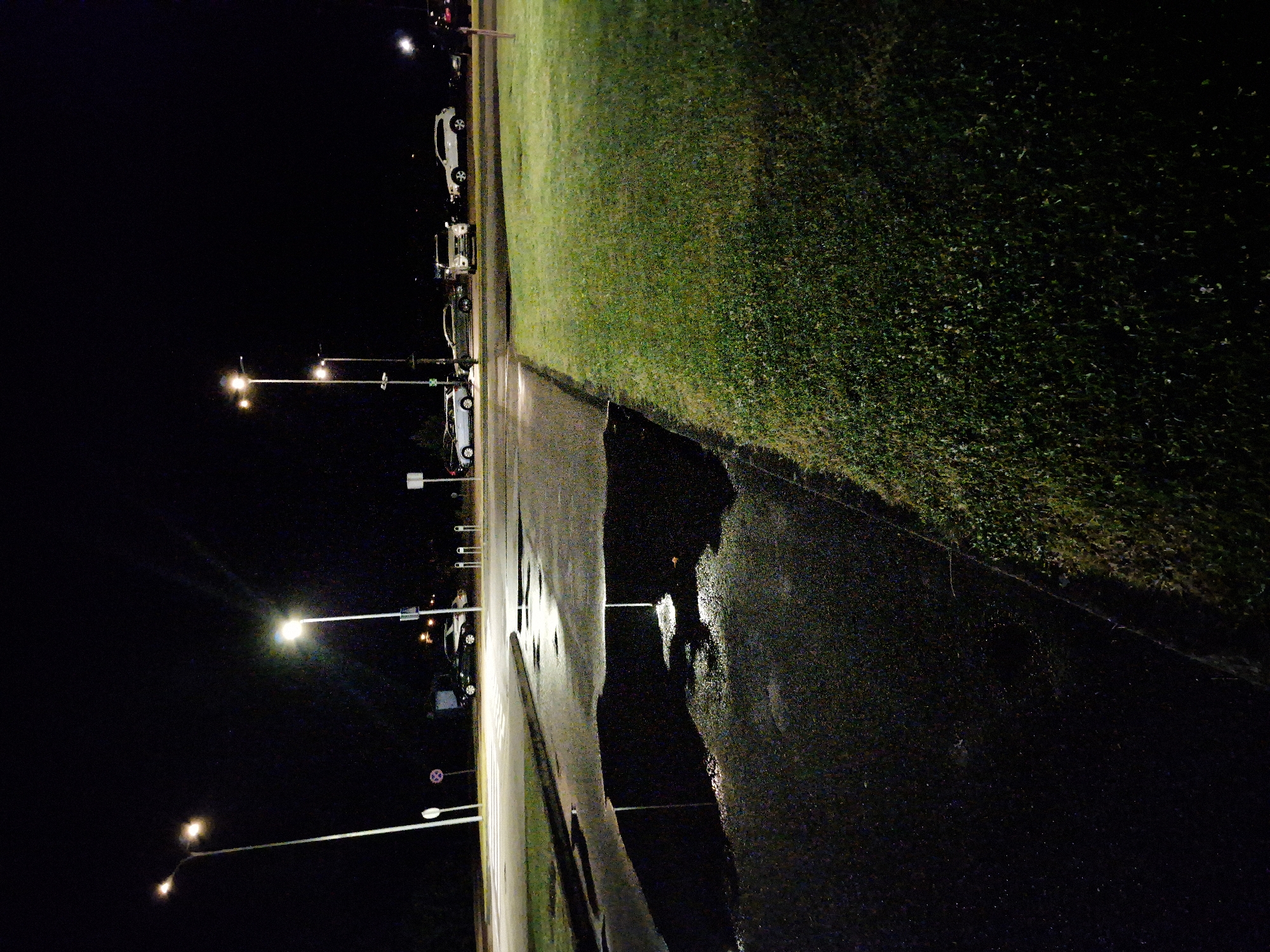 A nighttime image depicts a wet asphalt surface in the foreground, with a large puddle reflecting light from nearby streetlights and vehicles. The puddle is situated at the edge of a grassy area. In the background, several cars are parked or driving on a road, illuminated by streetlights. The scene appears to be a parking lot or roadside area in Pabradė, Lithuania.