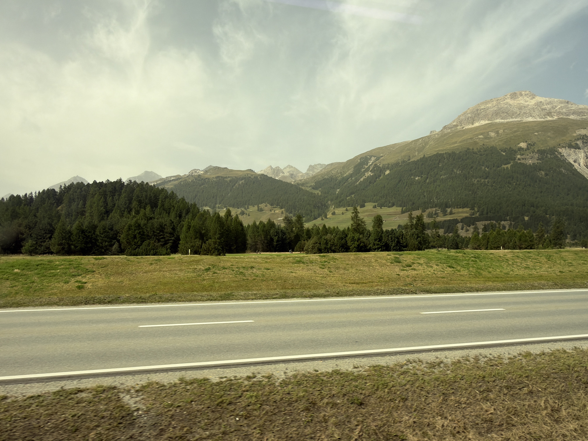 The image captures a wide, paved road with white lane markings running horizontally through the foreground. The road is bordered by a grassy verge on the left and dry, brown vegetation on the right. Beyond the road, a sloping green field rises, transitioning into a dense forest of evergreen trees. In the background, rugged mountains with patches of green vegetation and rocky, exposed areas dominate the landscape under a cloudy sky. The overall scene appears to be a scenic view of a mountain road in the region of Samedan, Switzerland.