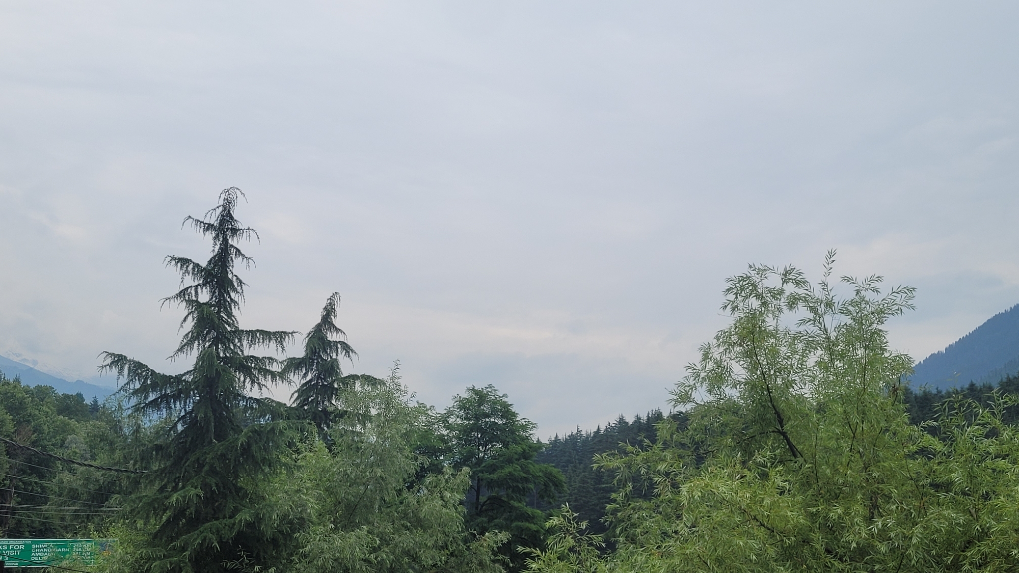 The image captures a scenic view of lush green trees against a cloudy sky, with a mountain range visible in the background. In the foreground, the dense foliage of various trees dominates the landscape. Prominent among them are tall, conical coniferous trees, their branches spreading outwards. To the right, a lighter, more feathery tree with delicate leaves stands out. The middle ground is filled with a variety of trees, some dense and dark green, others lighter and more vibrant. The background reveals a steep, heavily forested mountain, its slopes covered in dark green trees that blend into the hazy sky. The sky itself is overcast, with soft, diffused light. A small portion of a sign with text, possibly a directional sign or advertisement, is visible in the lower left corner, indicating the location could be near a road or tourist area. The overall impression is one of natural beauty and tranquility, characteristic of a mountainous region like Vashisht, India, known for its scenic landscapes and proximity to the Himalayas.