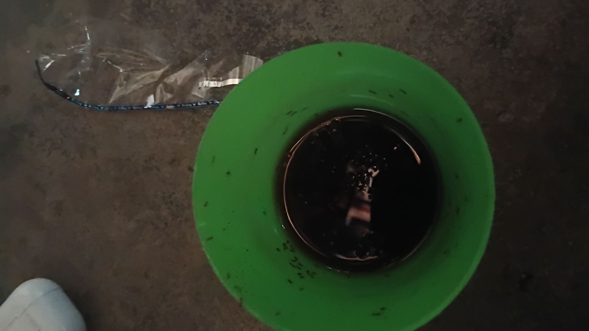 A close-up, overhead shot captures a bright green plastic bucket containing dark liquid, possibly coffee or oil, filled with numerous small, black ants. Some ants are on the rim of the bucket, while others are inside the liquid, some appearing to struggle. The bucket sits on a dark, textured surface, likely concrete, which appears to be outdoors. In the upper right of the frame, a crumpled clear plastic bag with blue and white markings is visible. The background is slightly blurred, but a portion of a white object, possibly a container, is visible on the far left. The scene does not provide any specific indicators of its location within the city of Prabumulih, Indonesia, or any specific time.